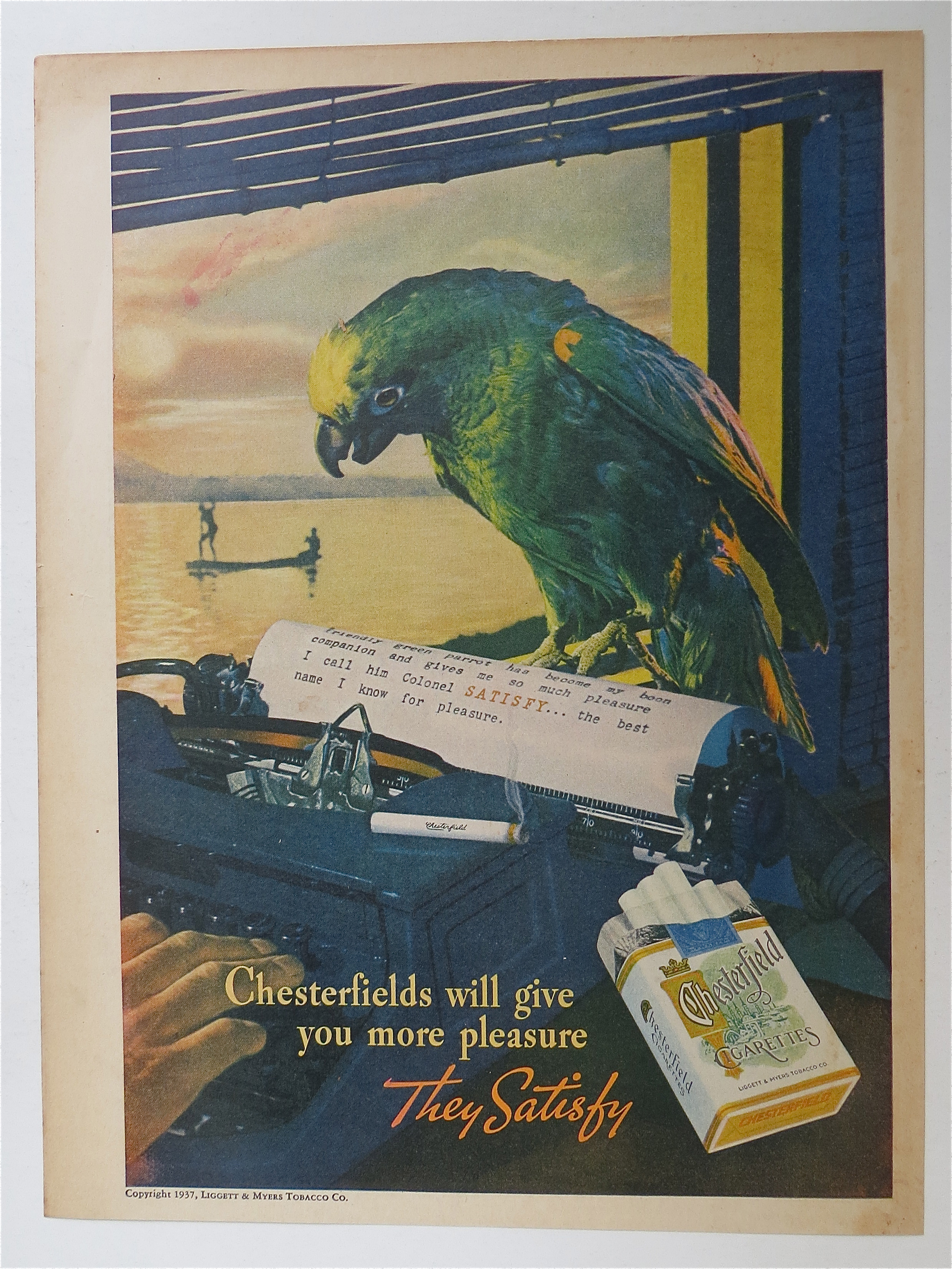 1937 Chesterfield Cigarettes with Lovely Parrot