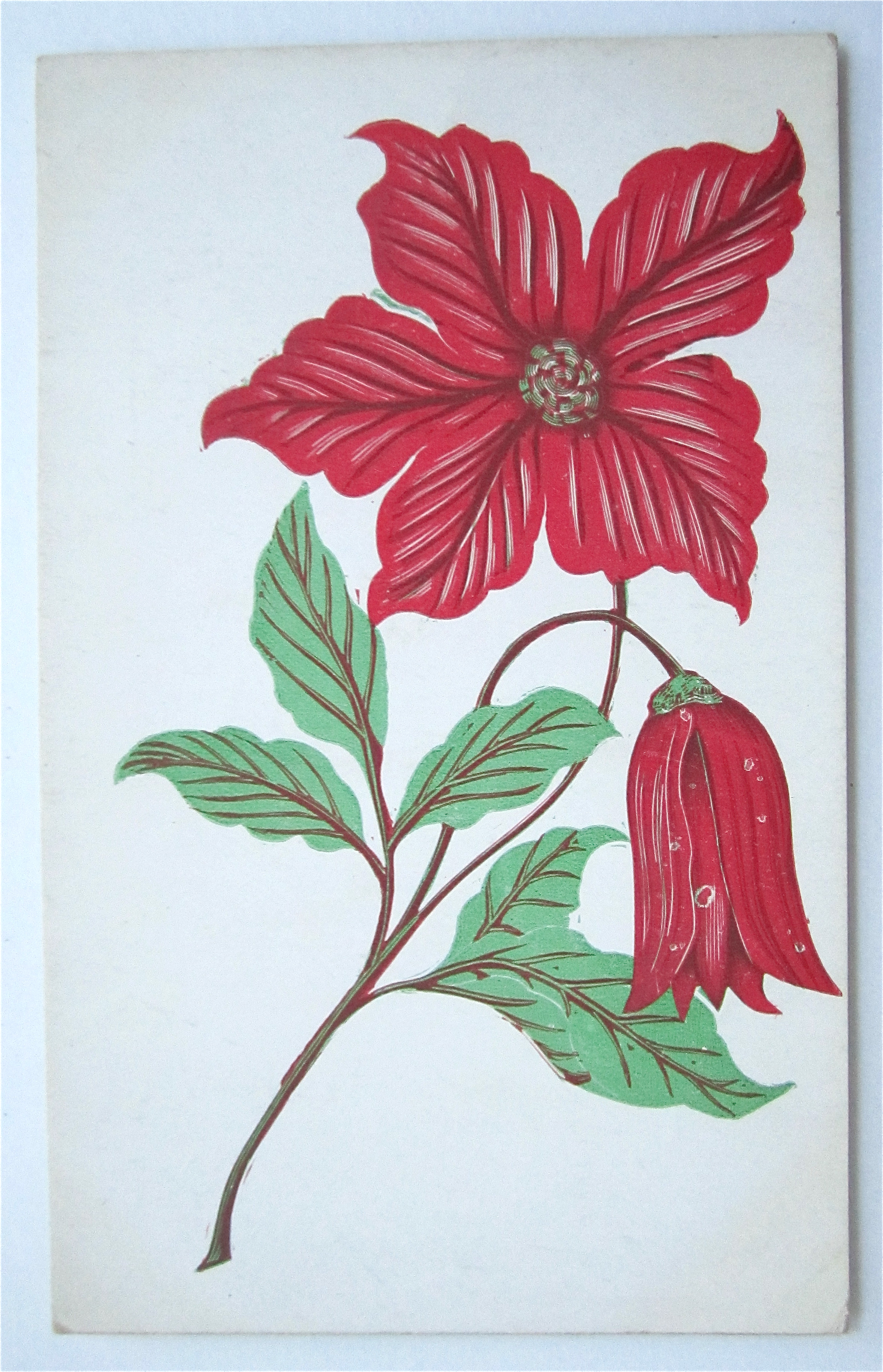 Red Poinsettia Flower Postcard