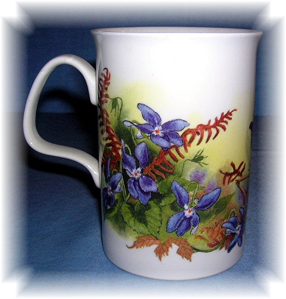 DUNOON TEA COFFEE MUG FINE BONE CHINA Spring