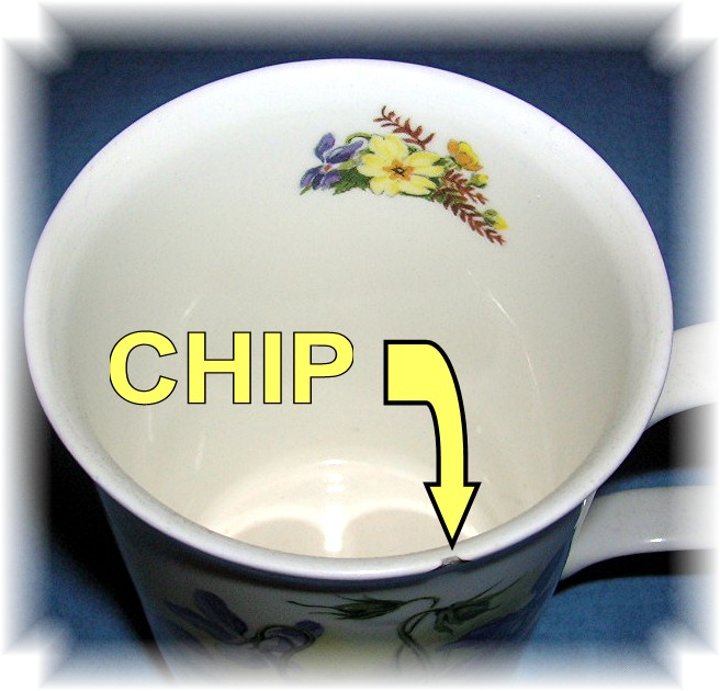 DUNOON TEA COFFEE MUG FINE BONE CHINA Spring