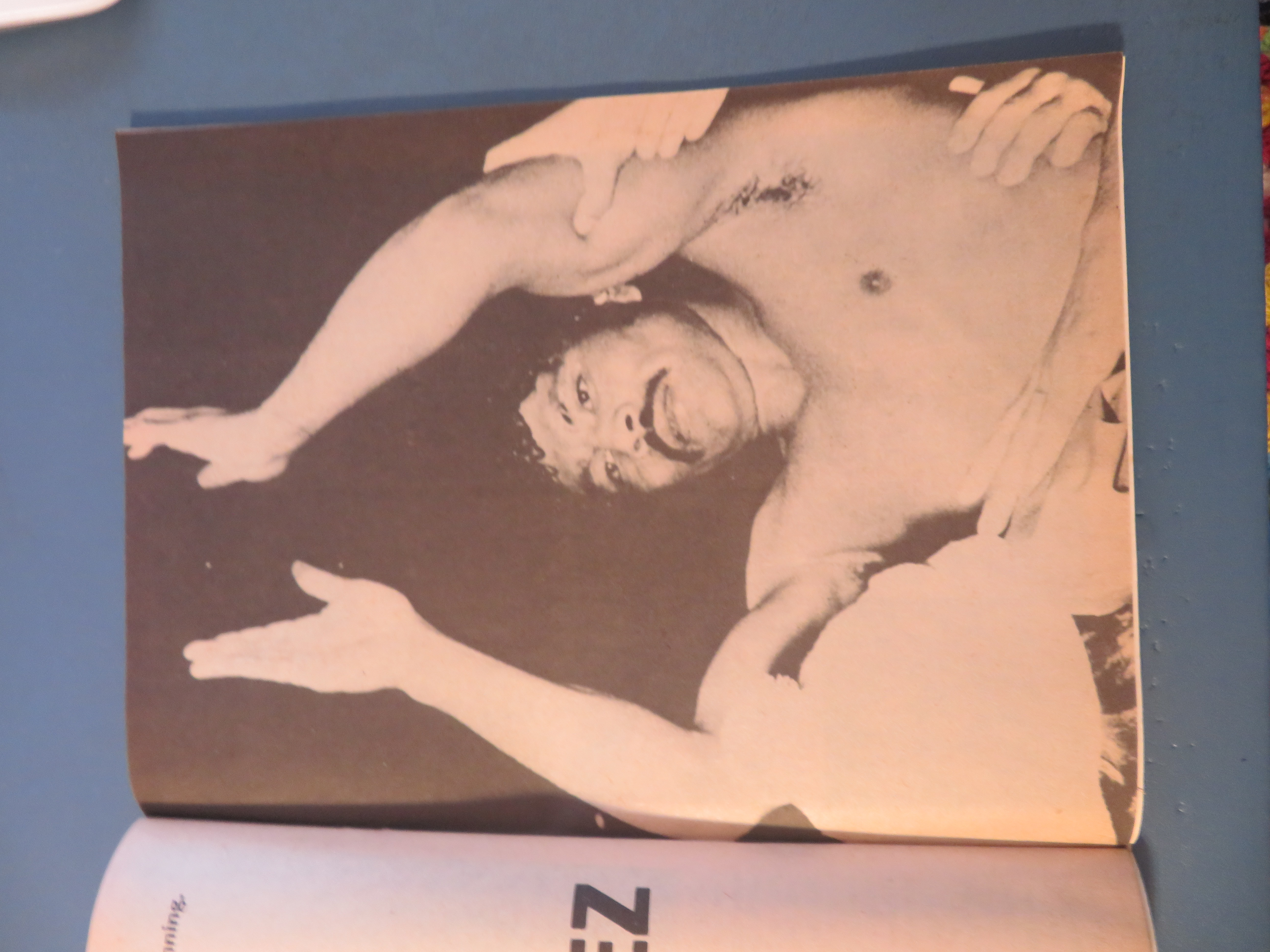 Big Book Of Boxing Magazine January 1981 Sugar Ray