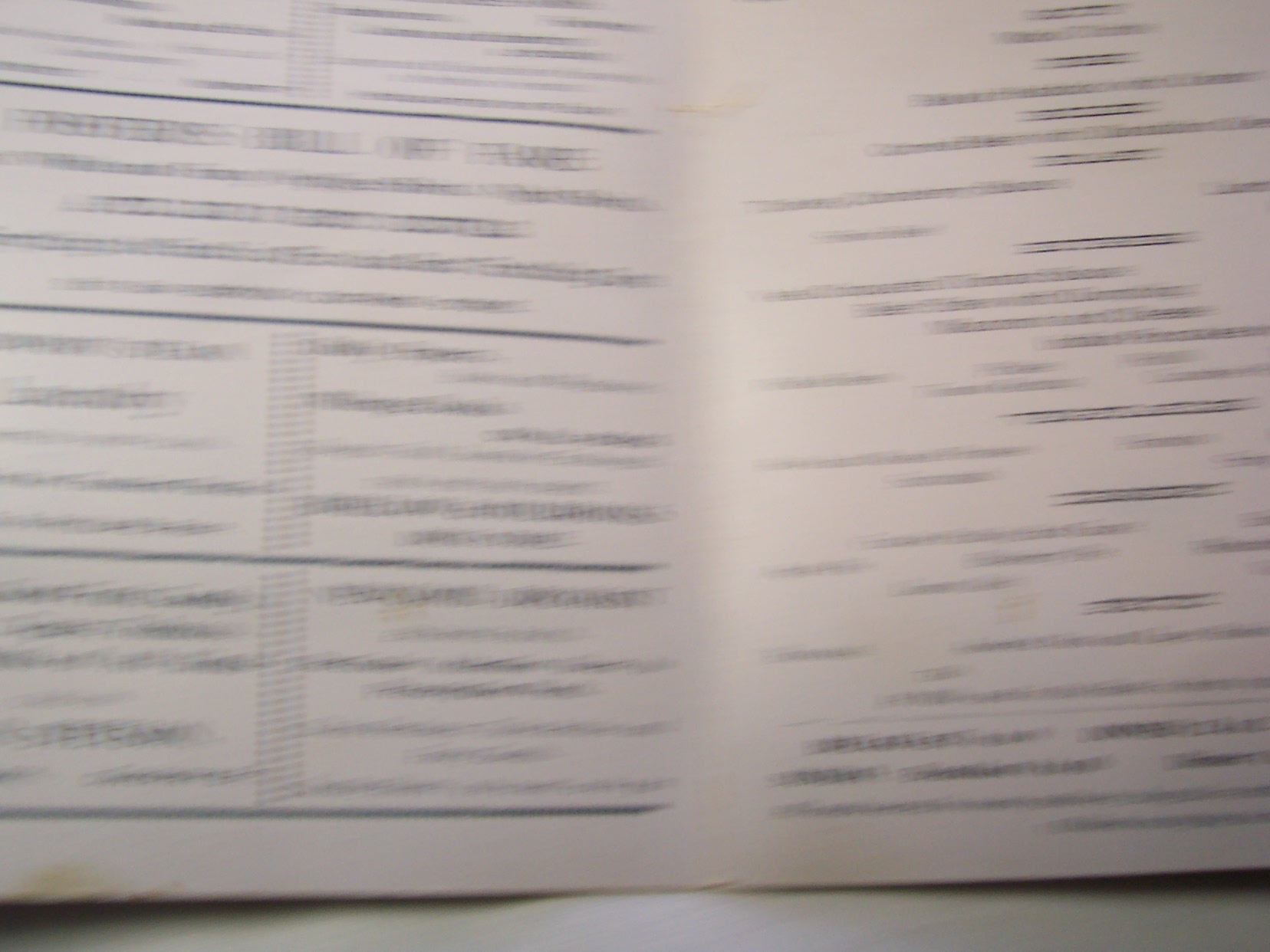 Paper Lot w/Photos and Menu 12PCS.