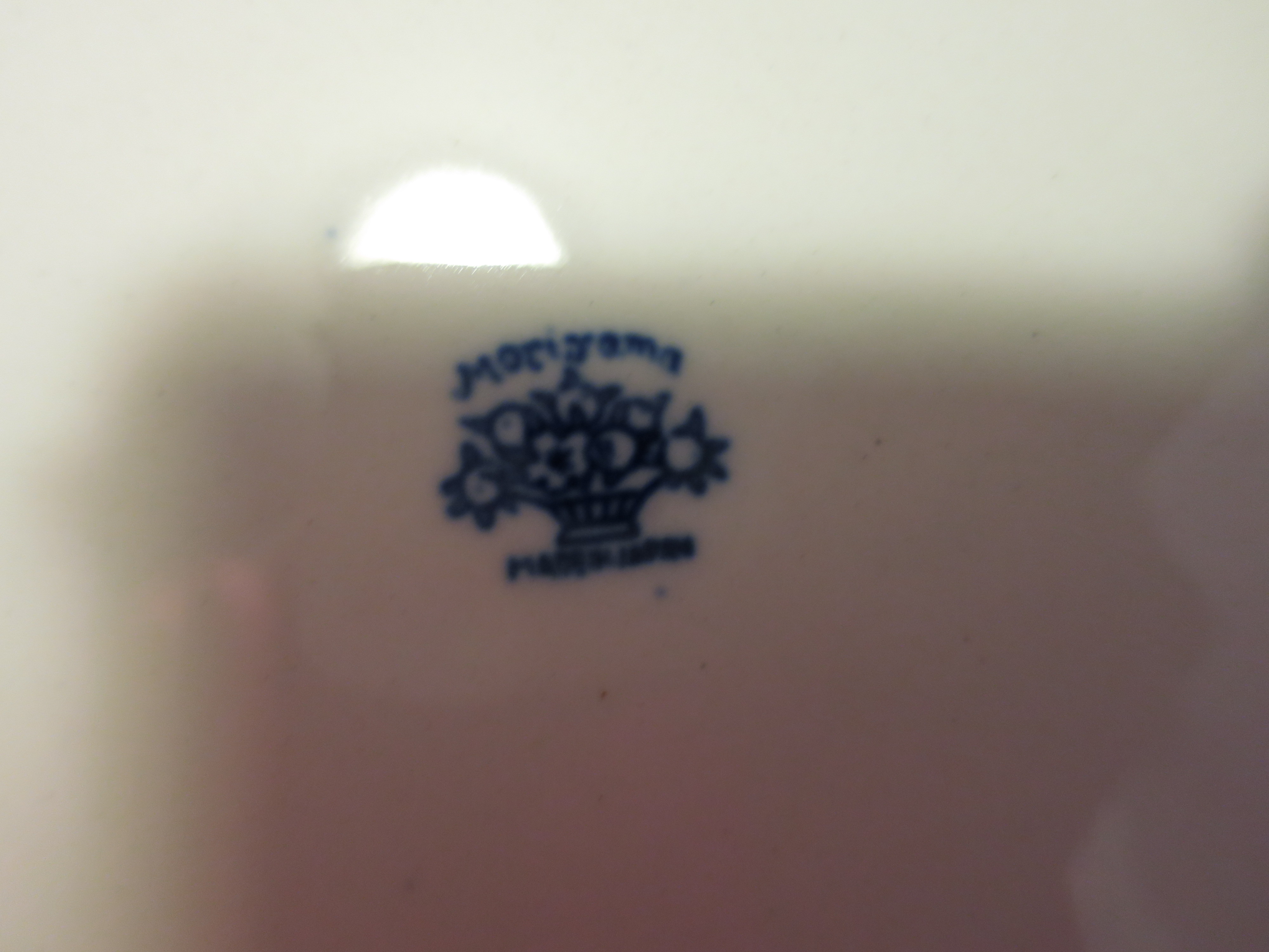 Moriyama Blue Willow Divided Grill Plate Japan flow blu