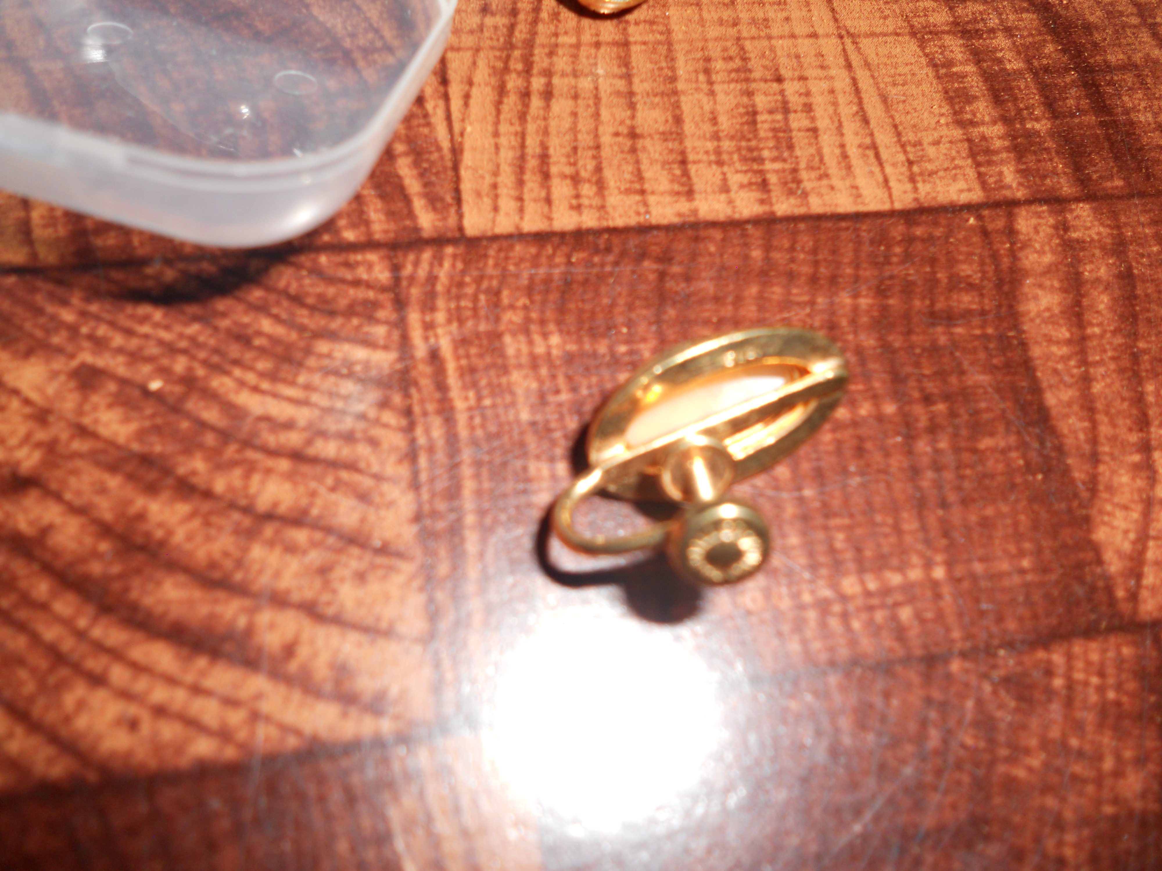 Shell Cameo Earrings Screw Back Gold Filled