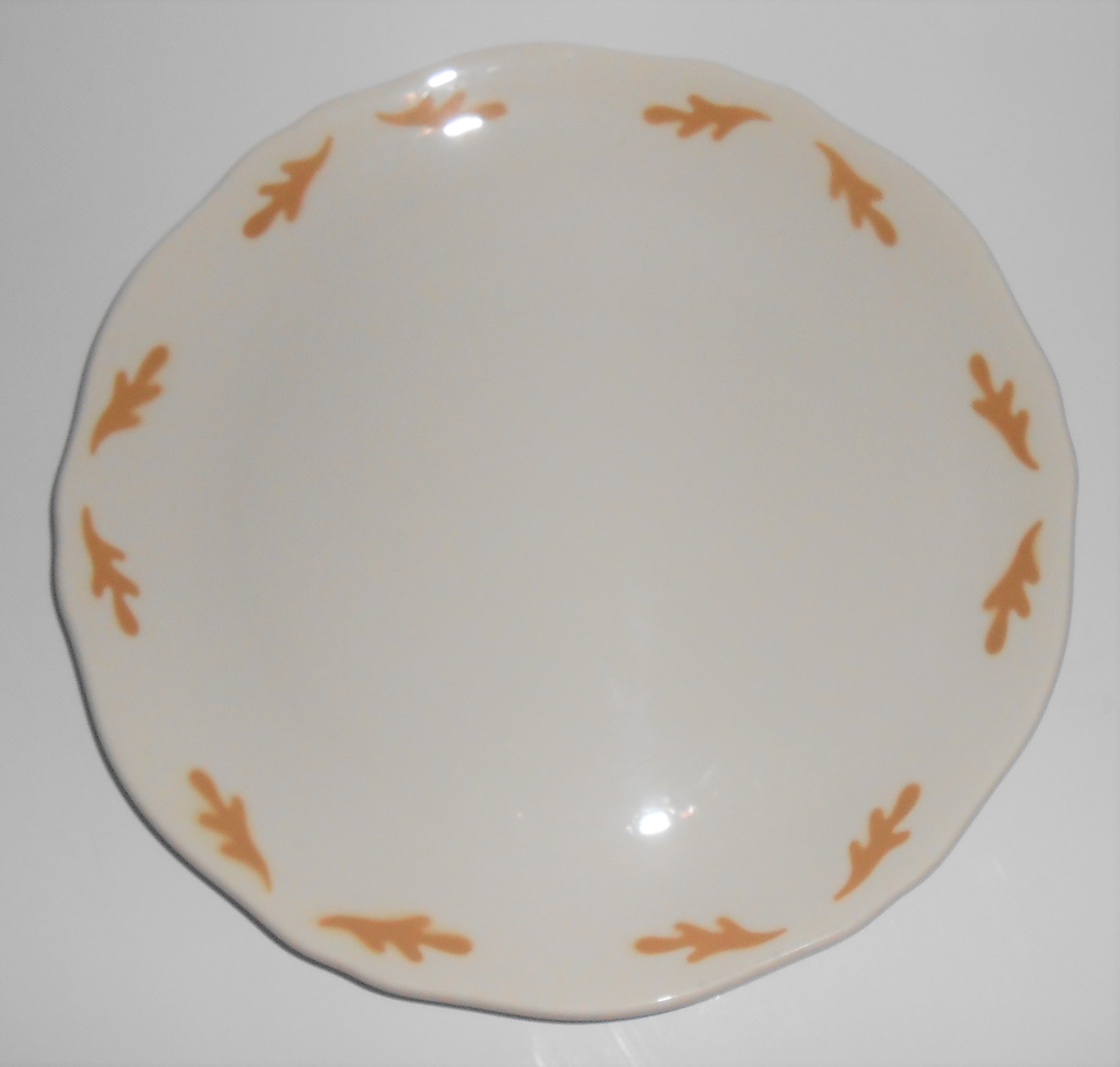 Mayer Restaurant China Airbrushed Oak Leaves Dinner