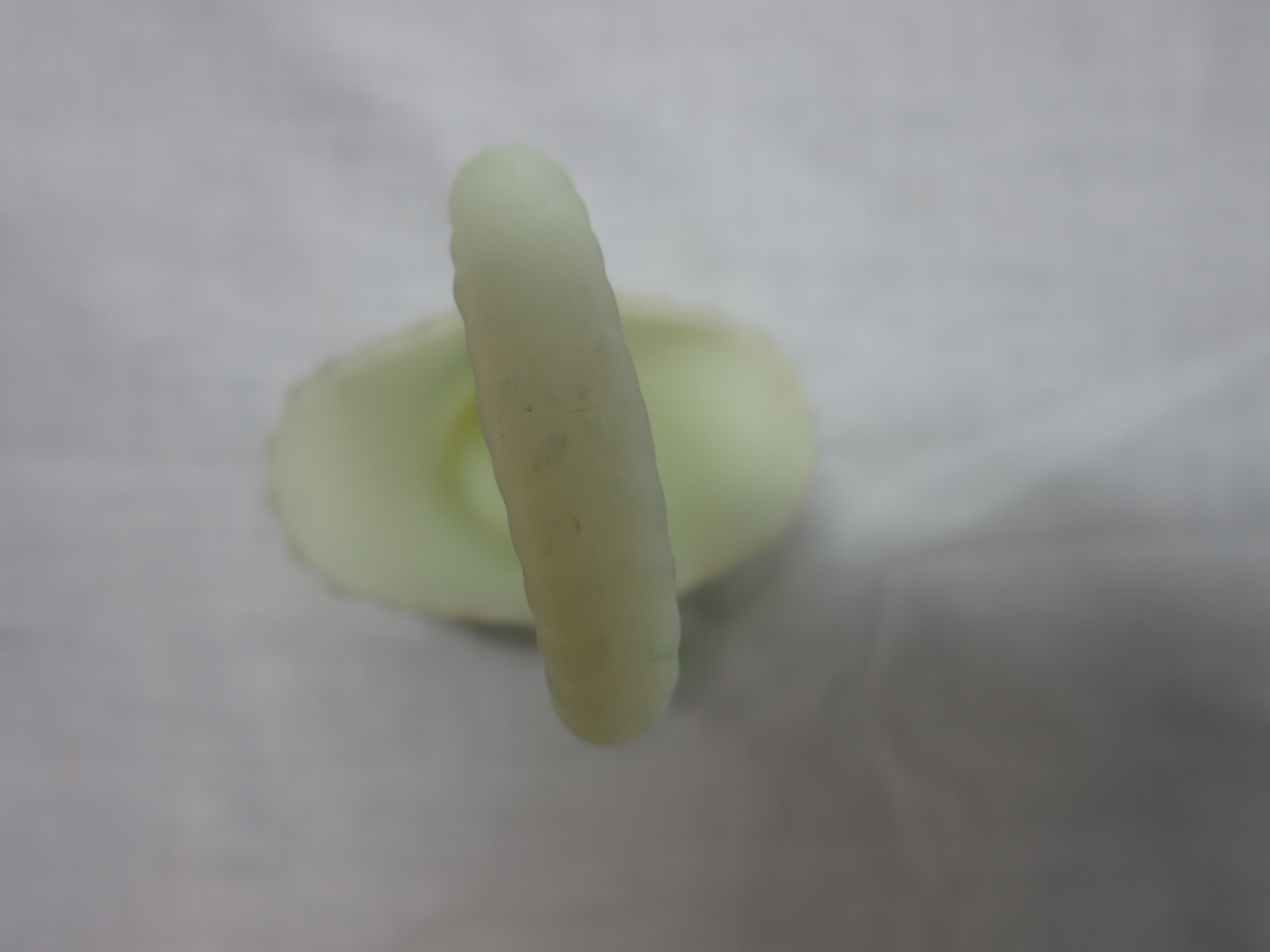 Fenton Art Glass Green Satin Custard Basket signed Freida