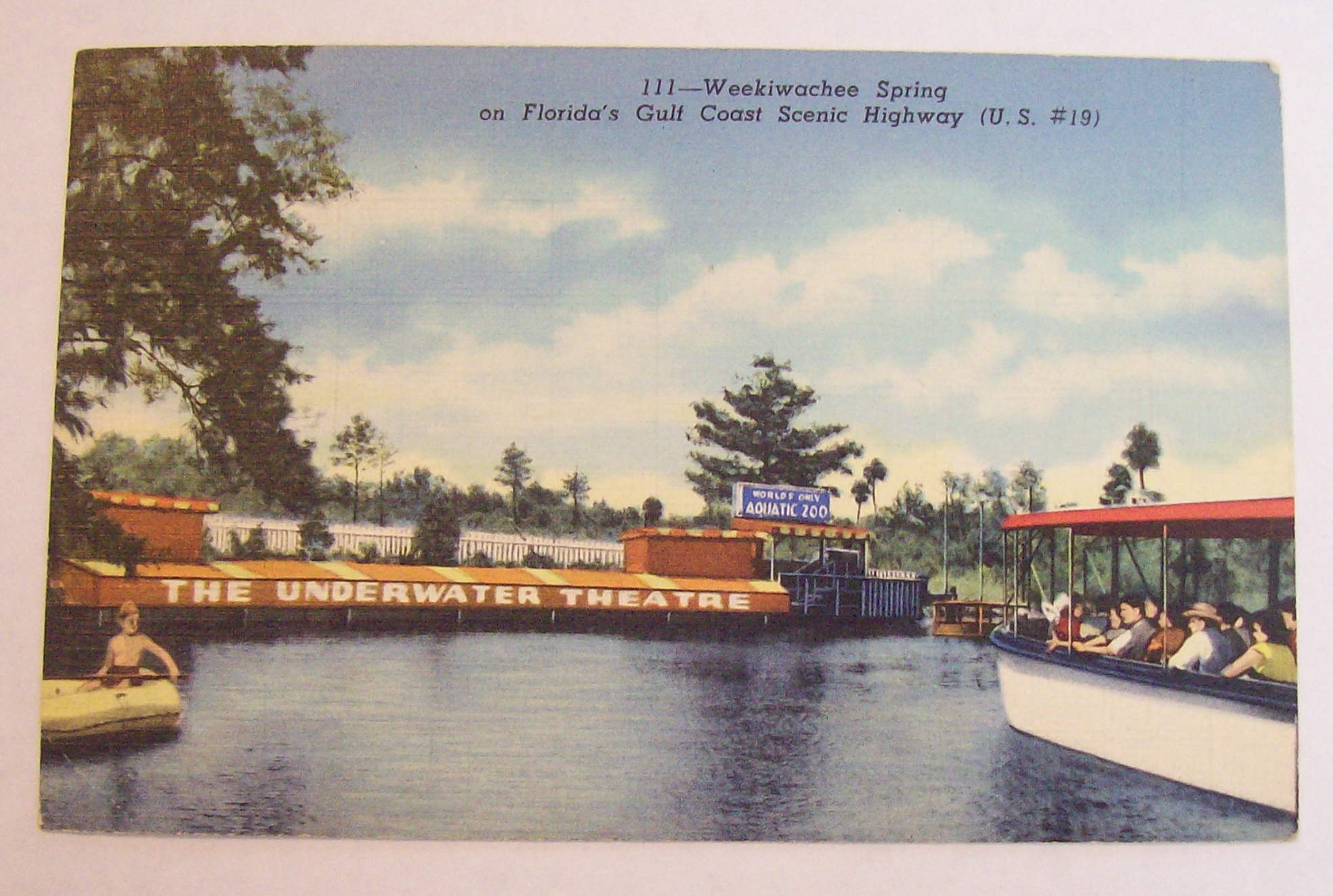 Weekiwachee Spring (Underwater Theatre) Postcard