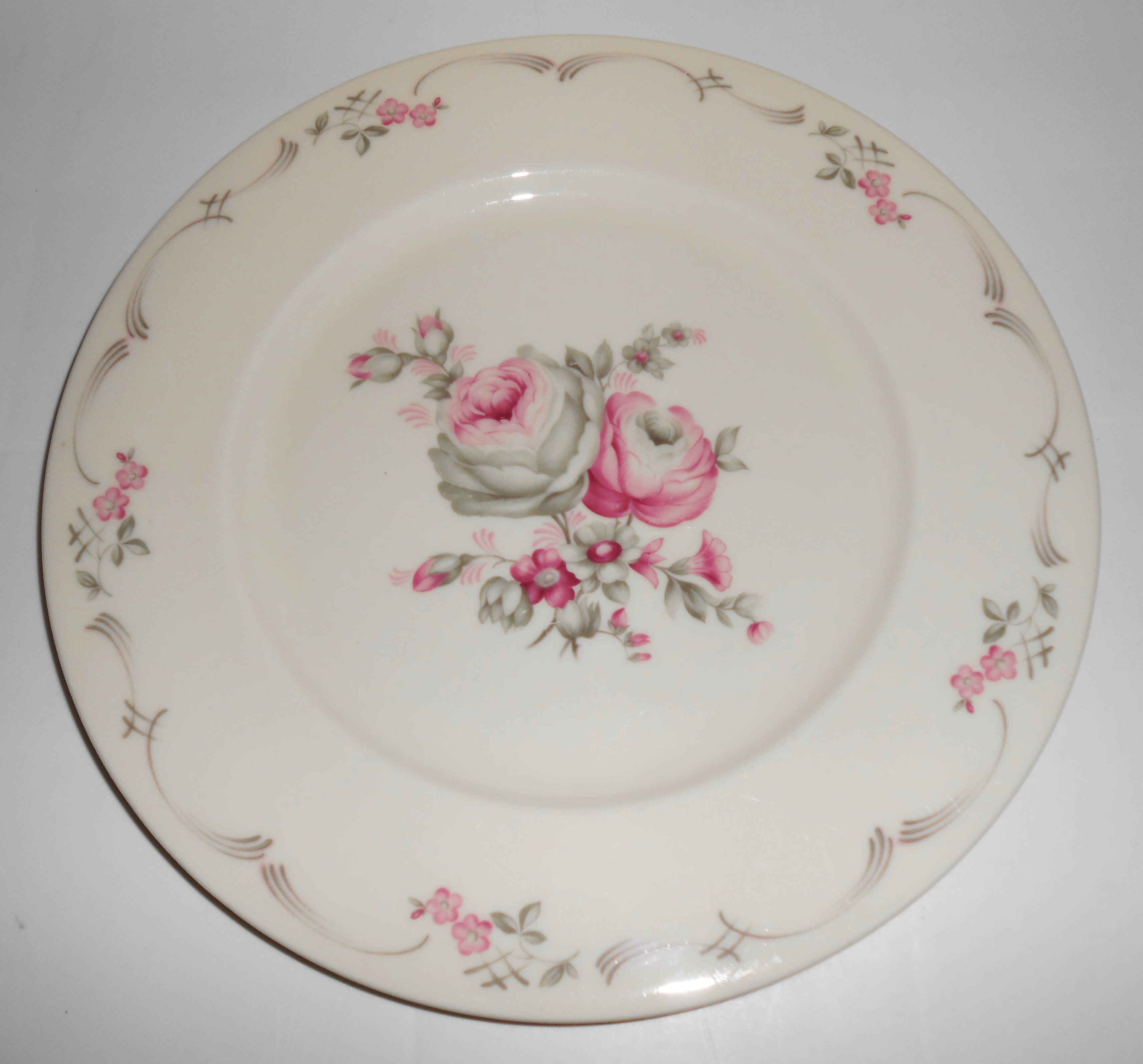 Castleton China Belrose Dinner Plate