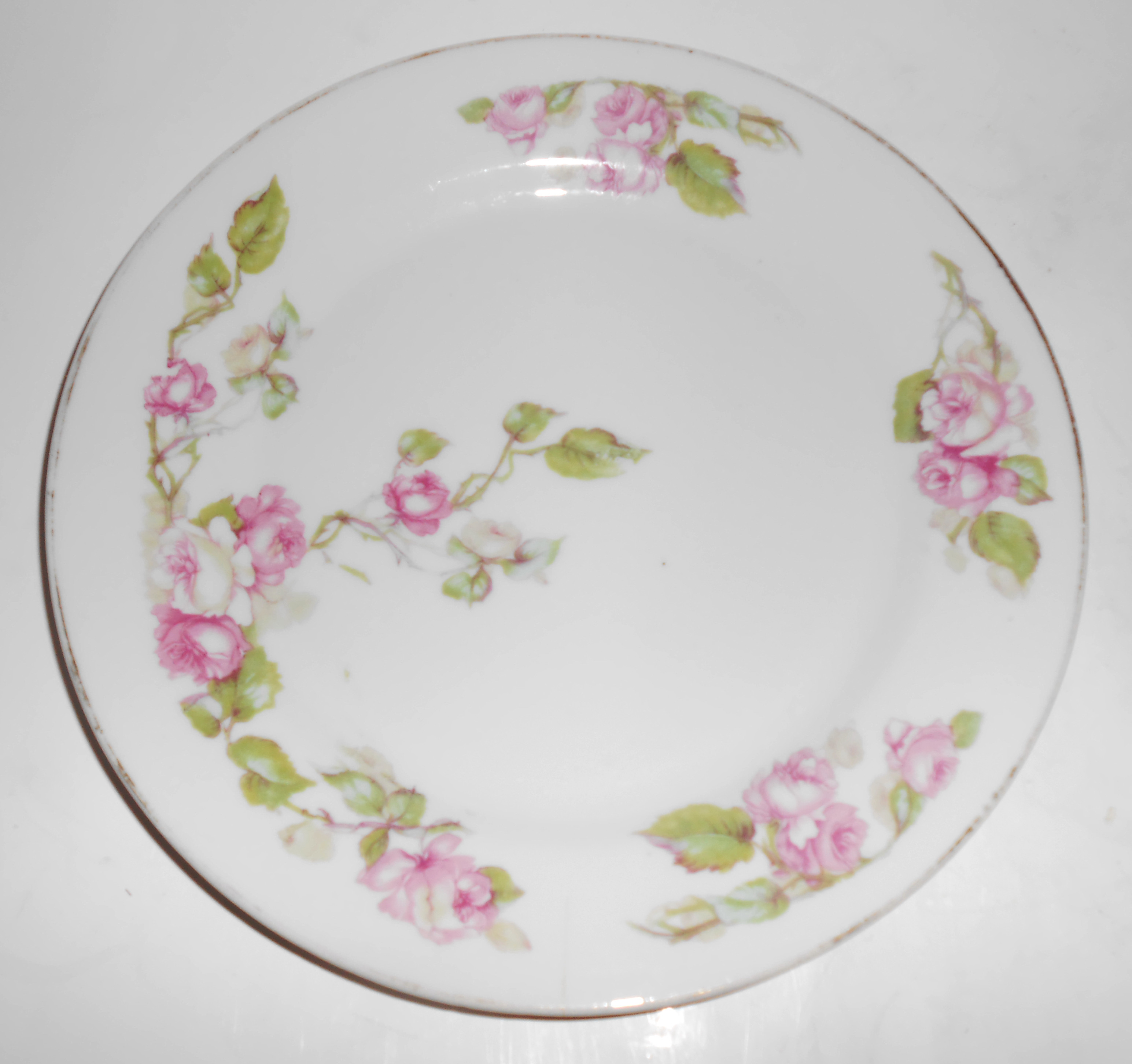 Z S & Co Bavaria Porcelain Pink Roses W/Gold Salad Plt