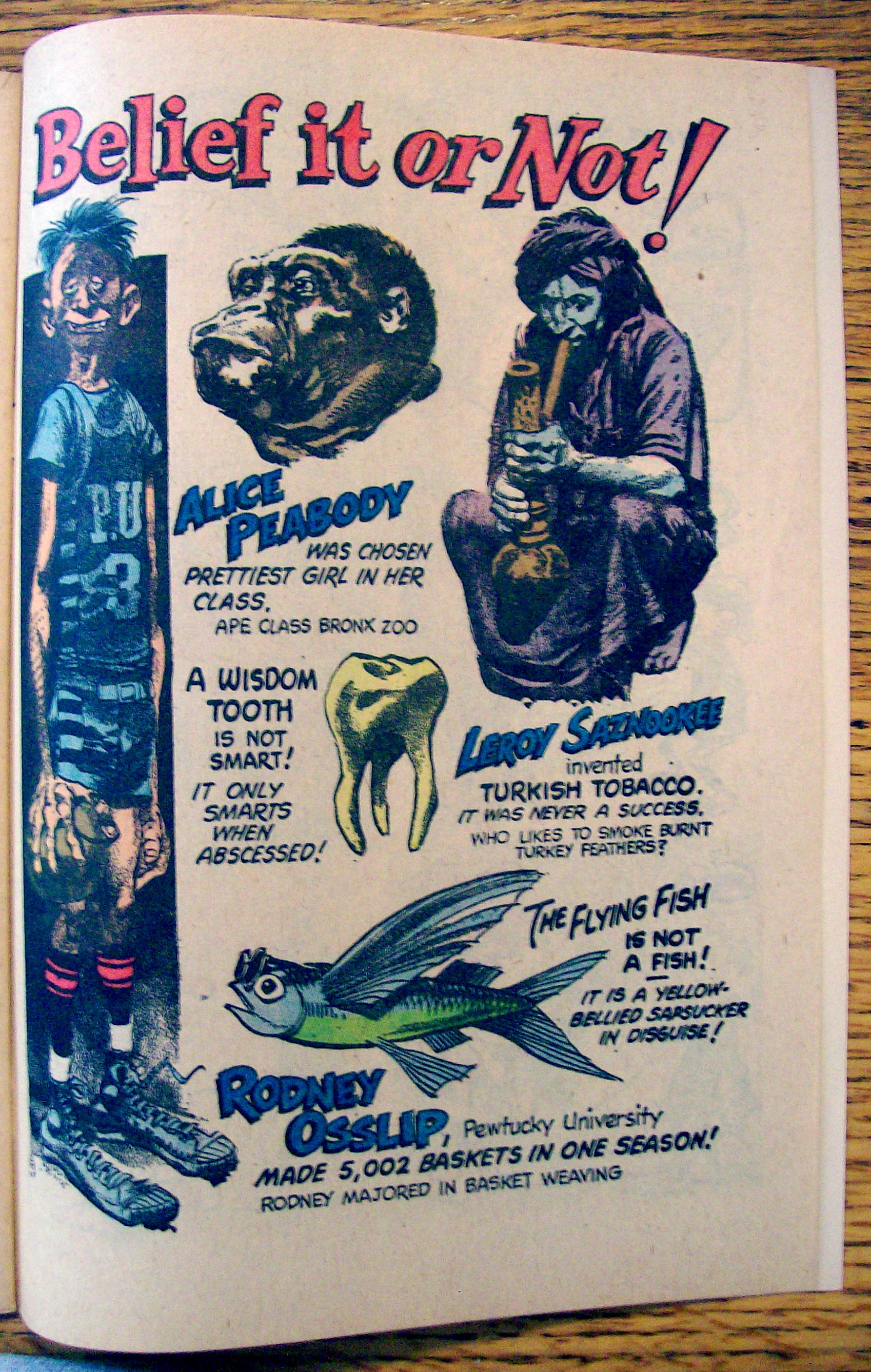Yak Yak Comic (A Pathology Of Humor) #1348-1962