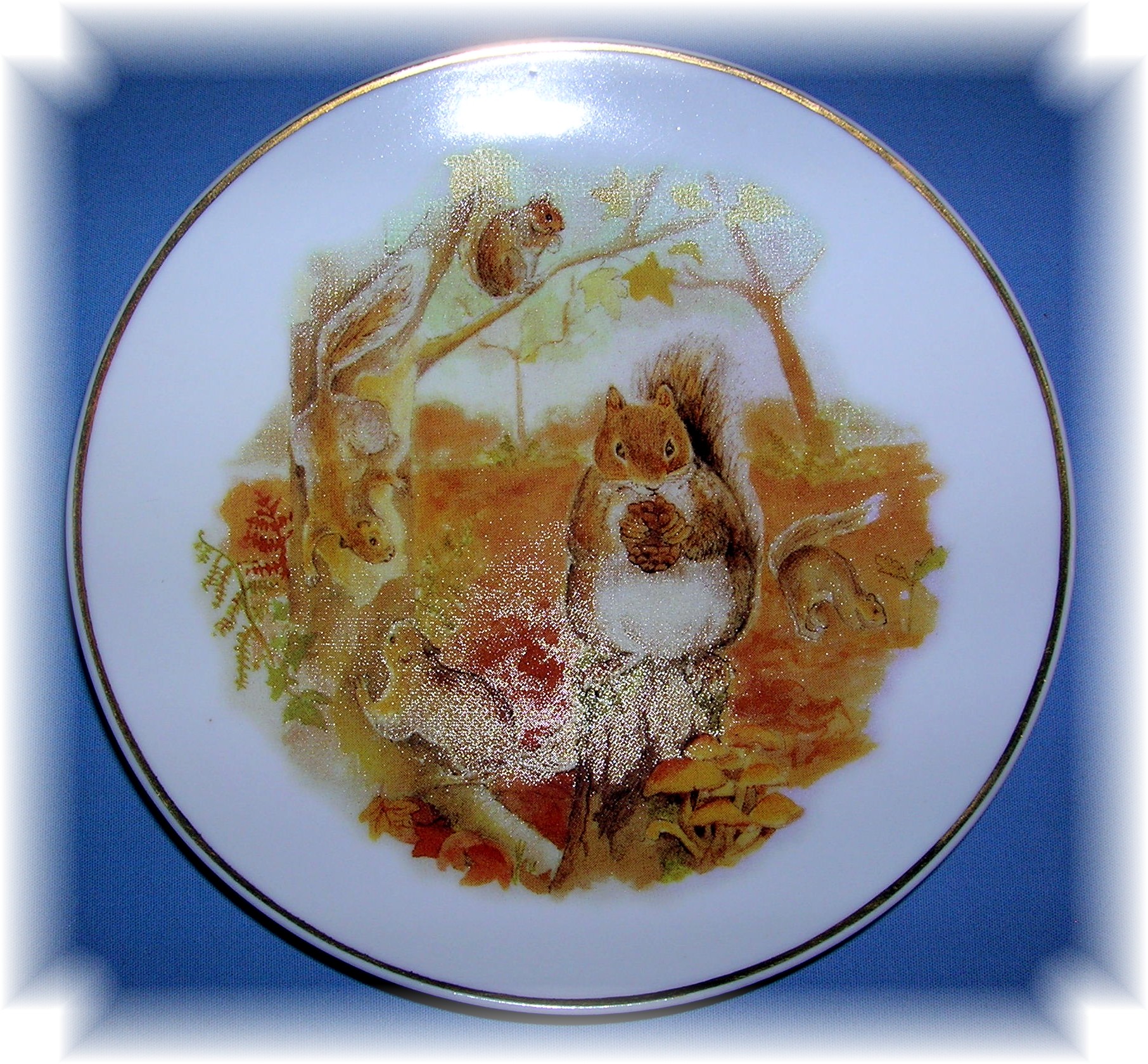 Squirrels Wildlife Of Britain Collector Plate