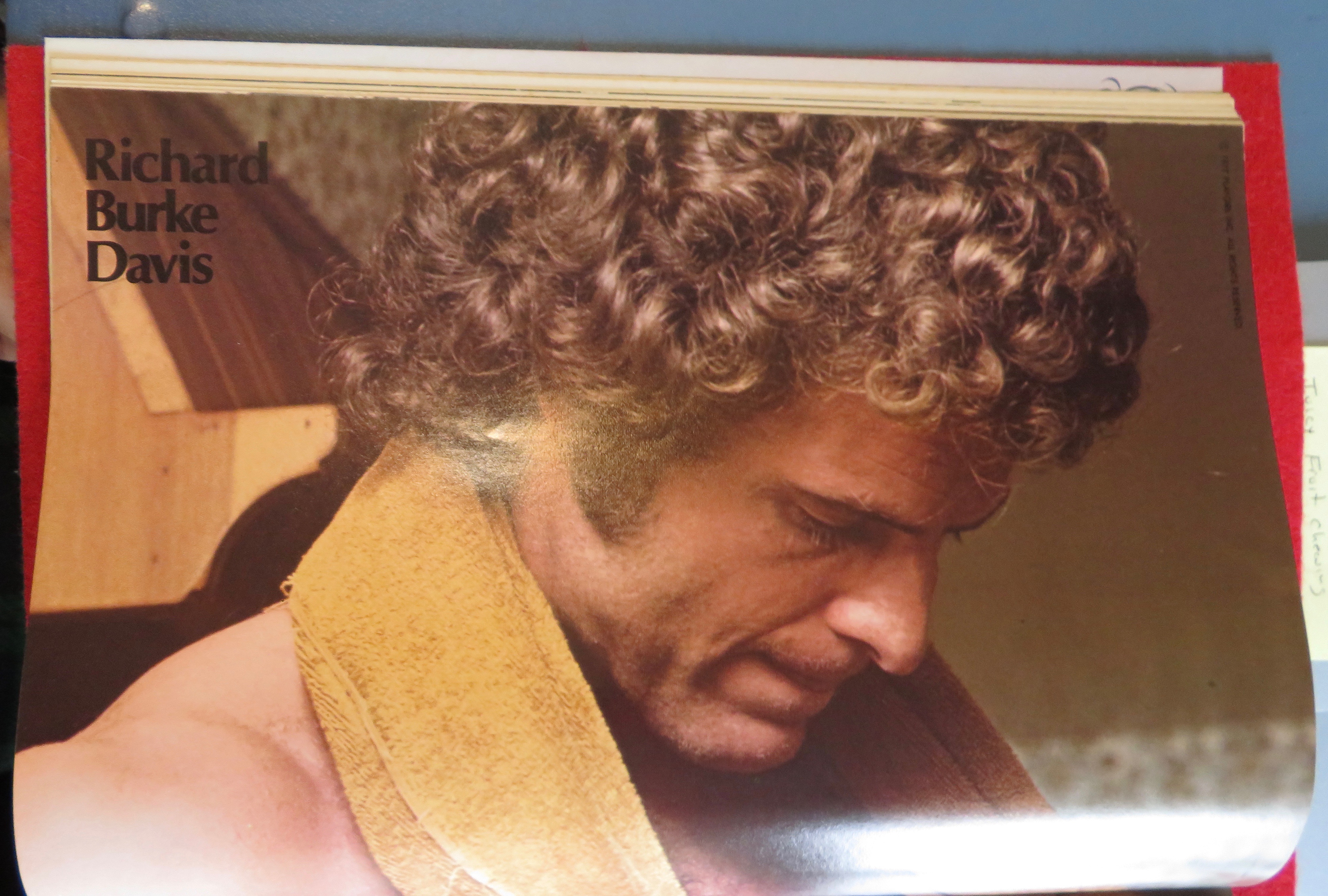 Playgirl Magazine October 1977 Richard Burke Davis