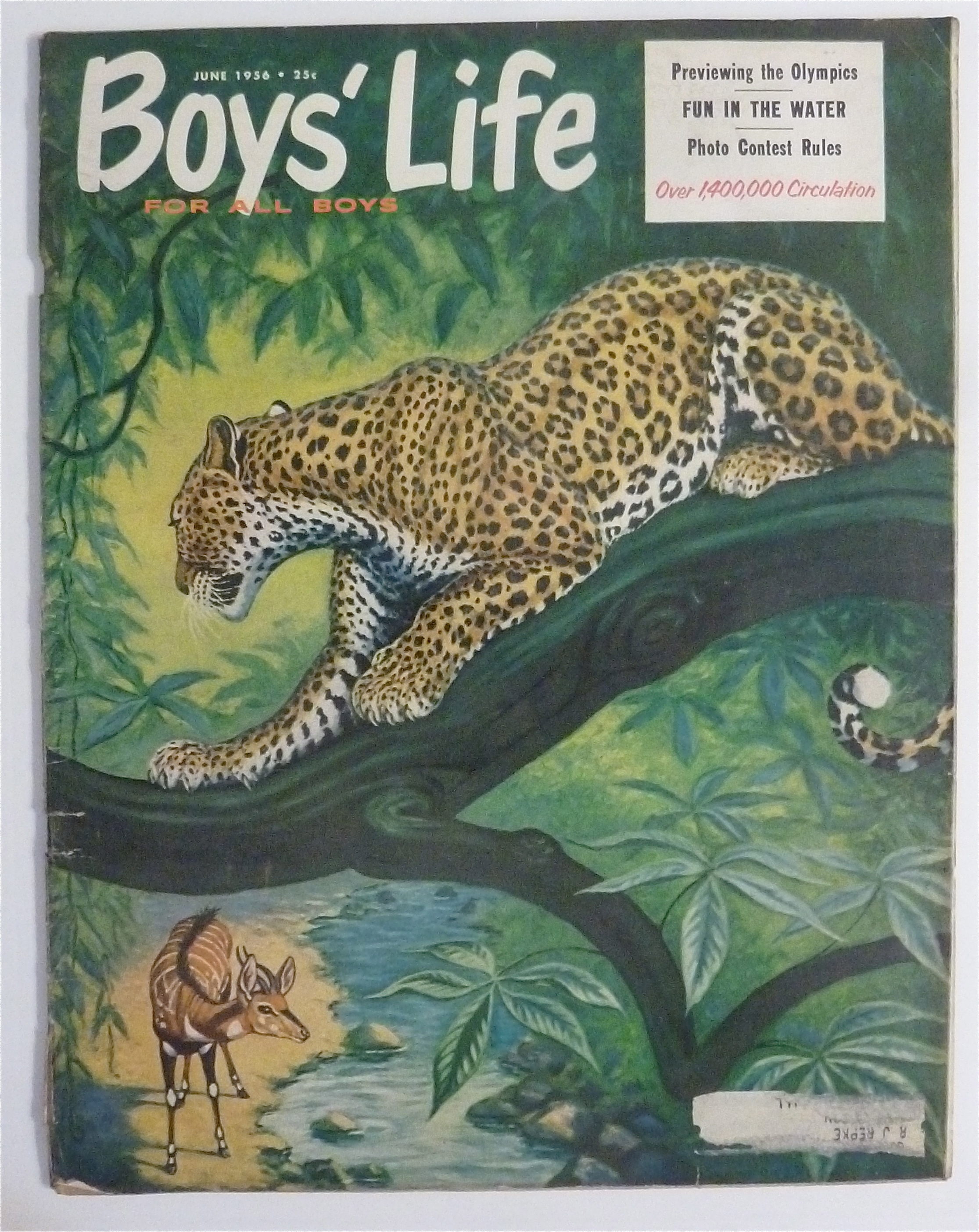 Boys' Life Magazine June 1956 Previewing The Olympics