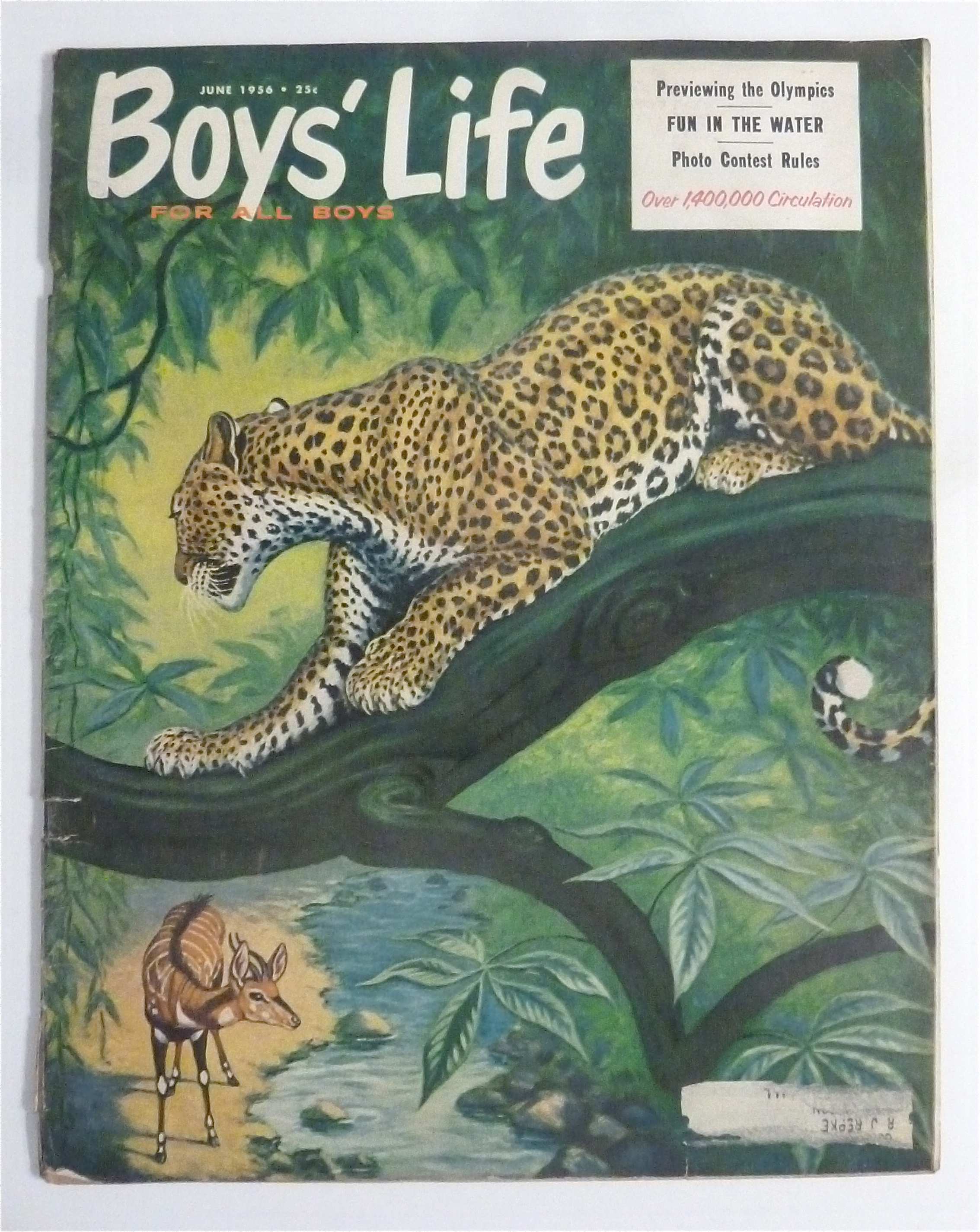 Boys' Life Magazine June 1956 Previewing The Olympics