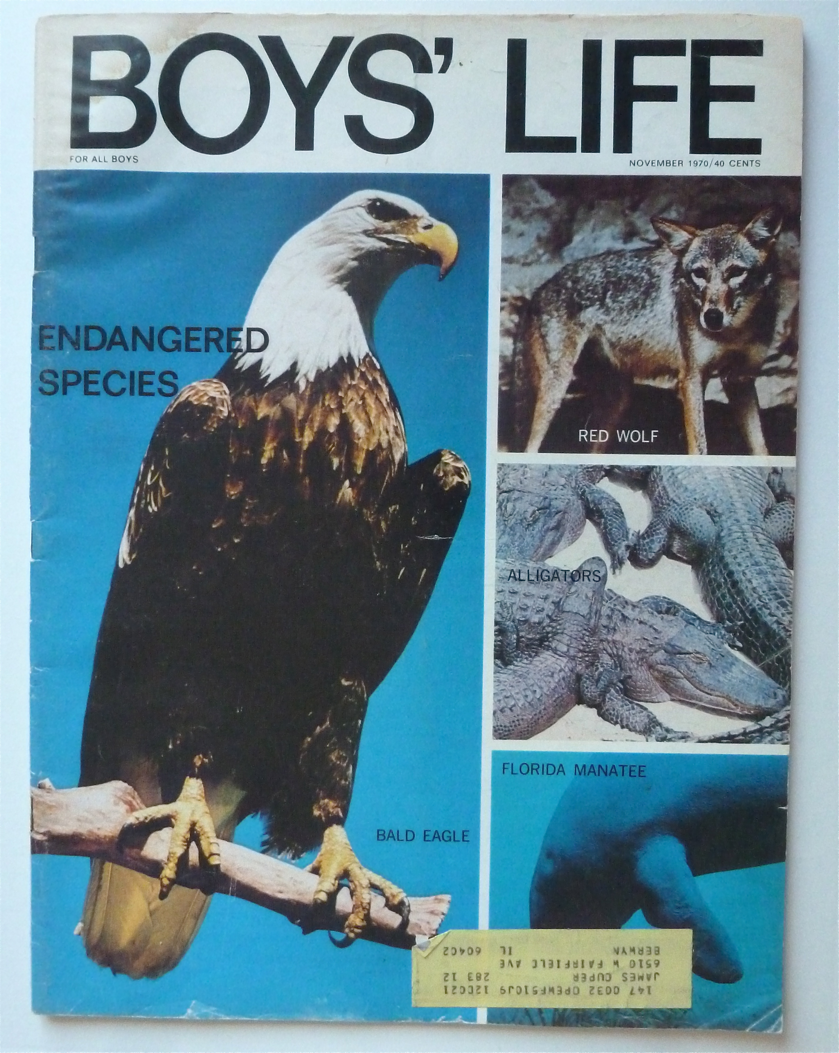 Boys Life Magazine November 1970 Endangered Species