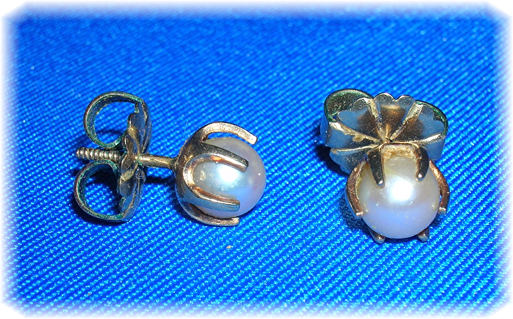 Earrings 14K Gold 6.5mm Pearl Claw Set Studs