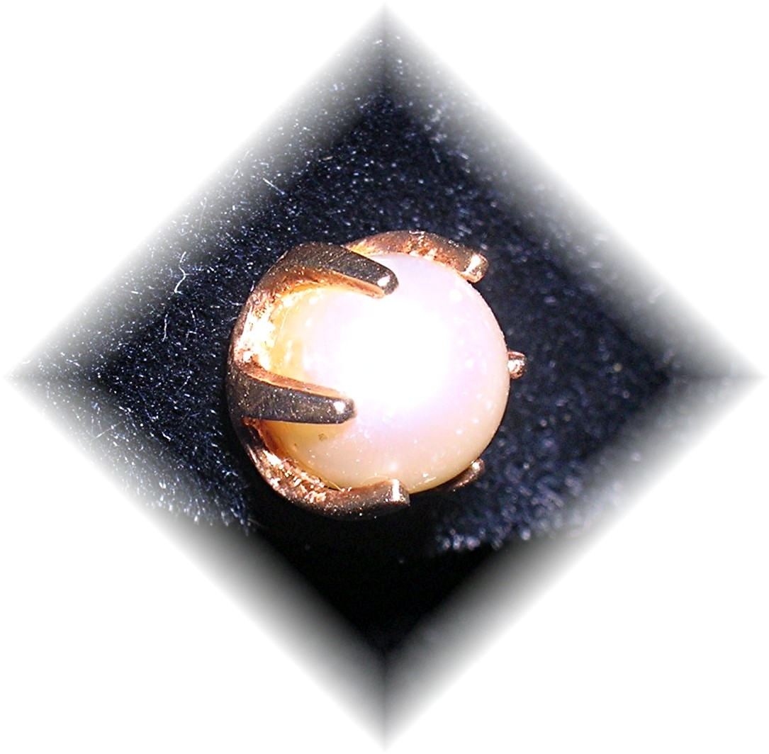 Earrings 14K Gold 6.5mm Pearl Claw Set  Studs