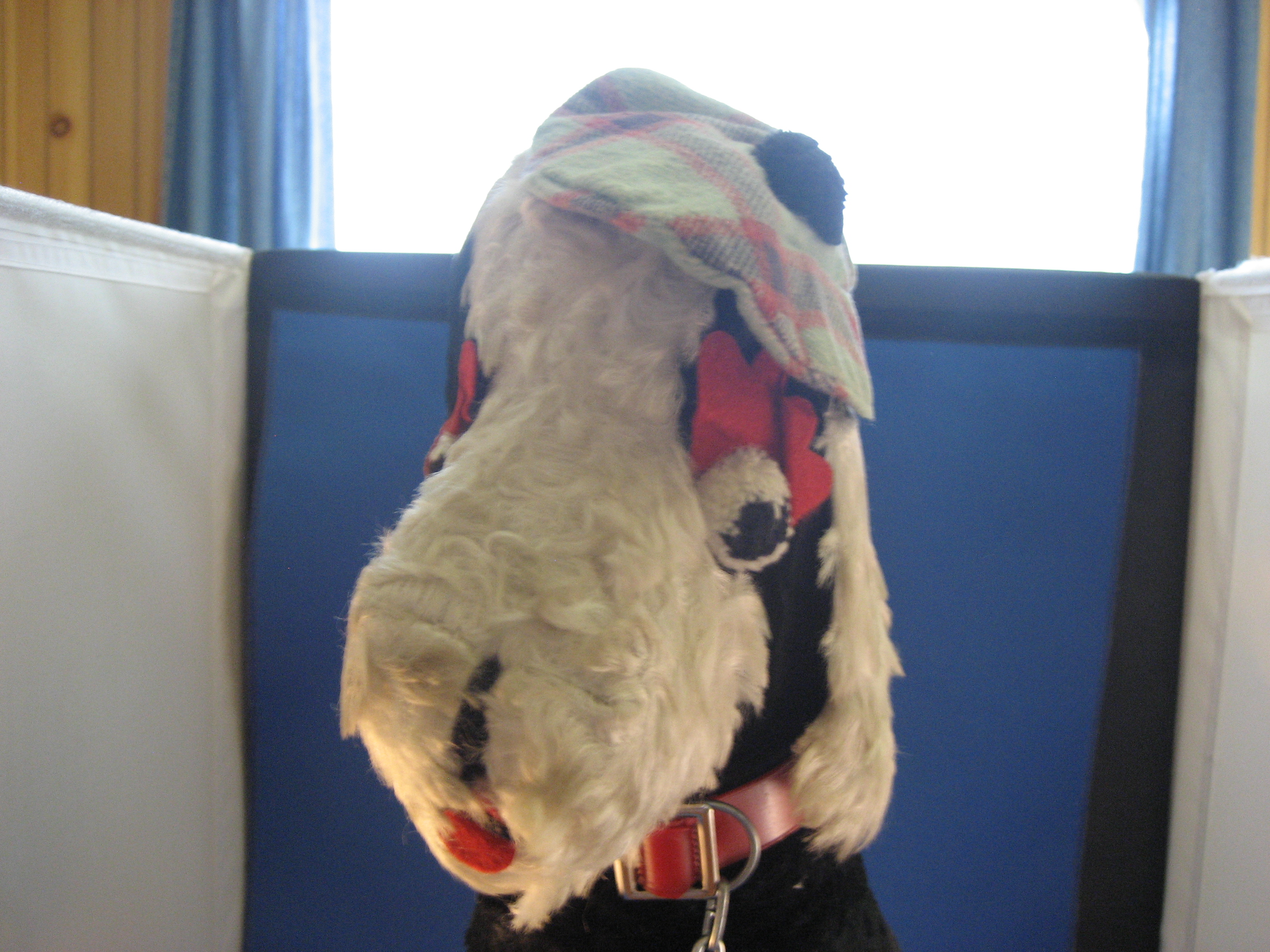 1940 Scottish Carnival Stuffed Dog