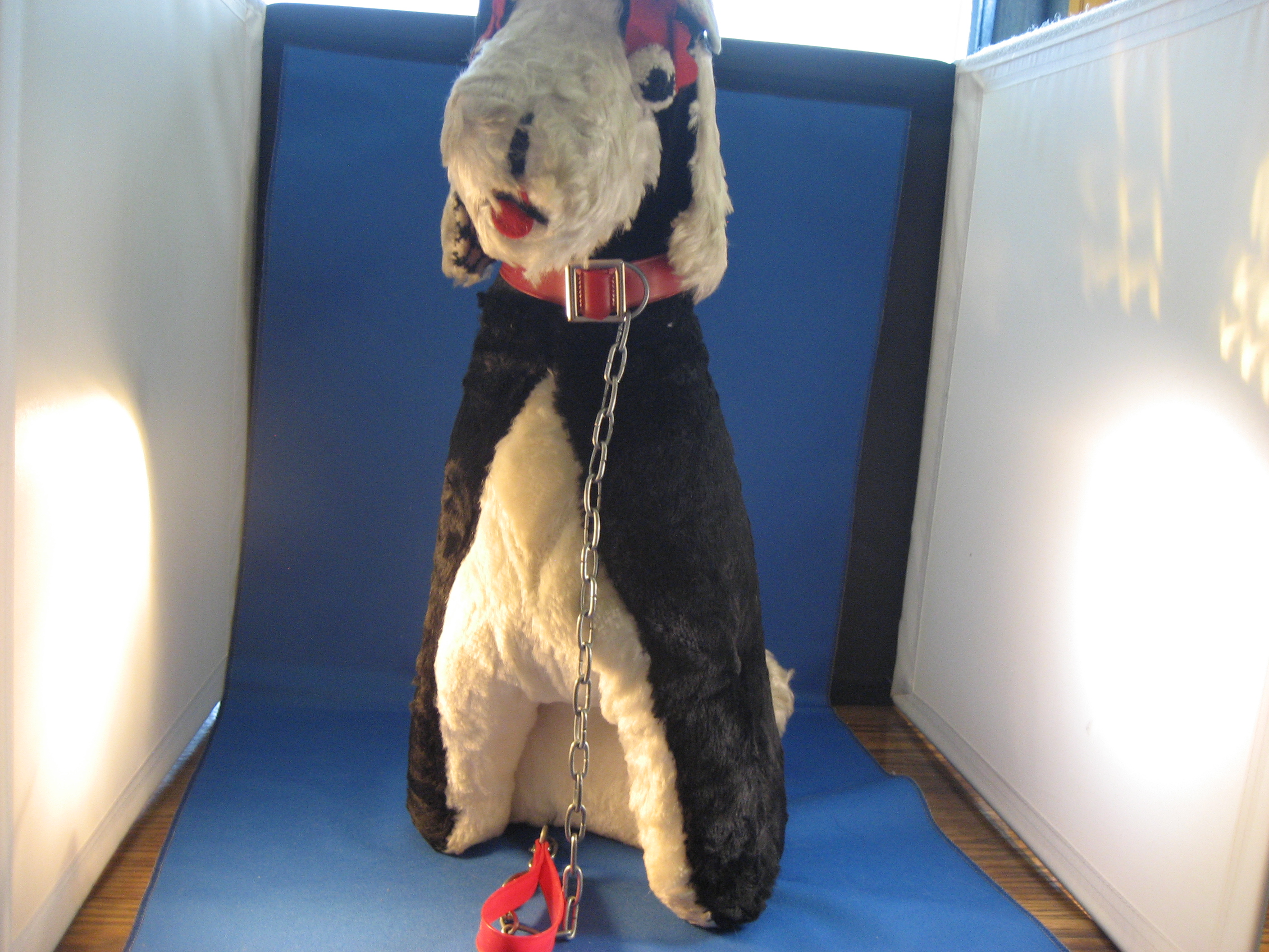 1940 Scottish Carnival Stuffed Dog