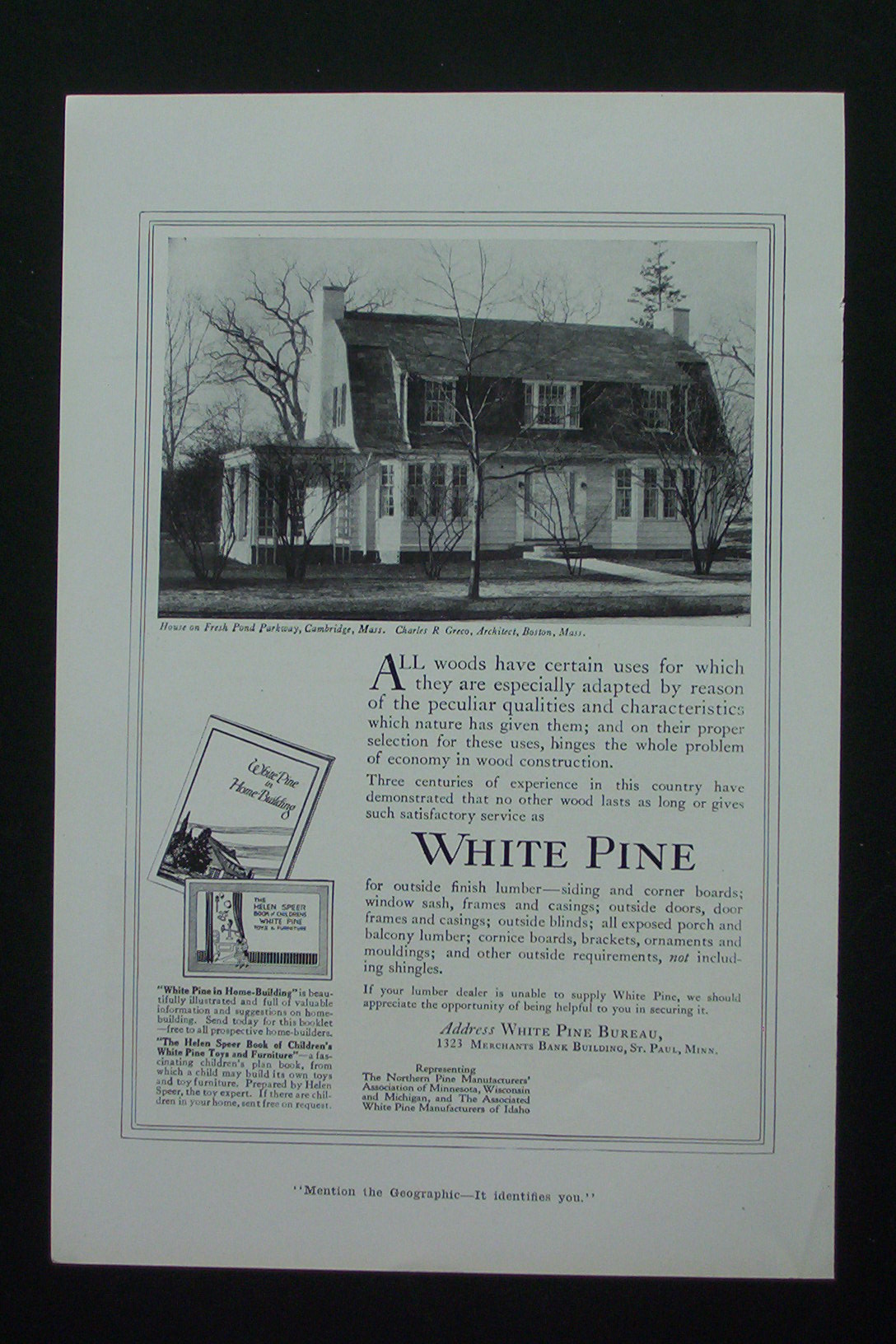 1917 White Pine with House on Fresh Pond Parkway