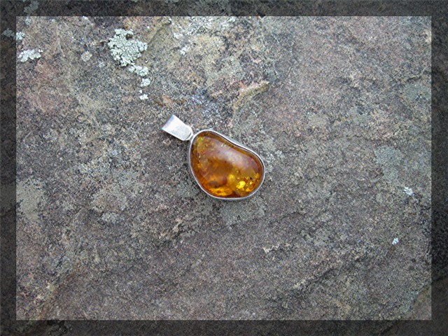 Baltic AMBER Sterling Silver Bugs Leaves Pendant
