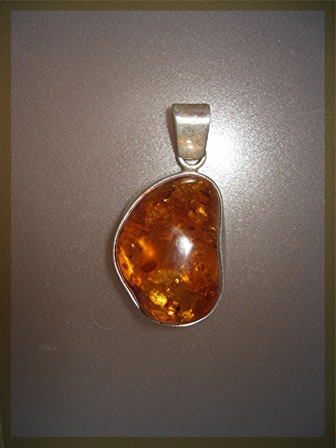 Baltic AMBER Sterling Silver Bugs Leaves Pendant