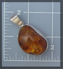 Baltic AMBER Sterling Silver Bugs Leaves Pendant