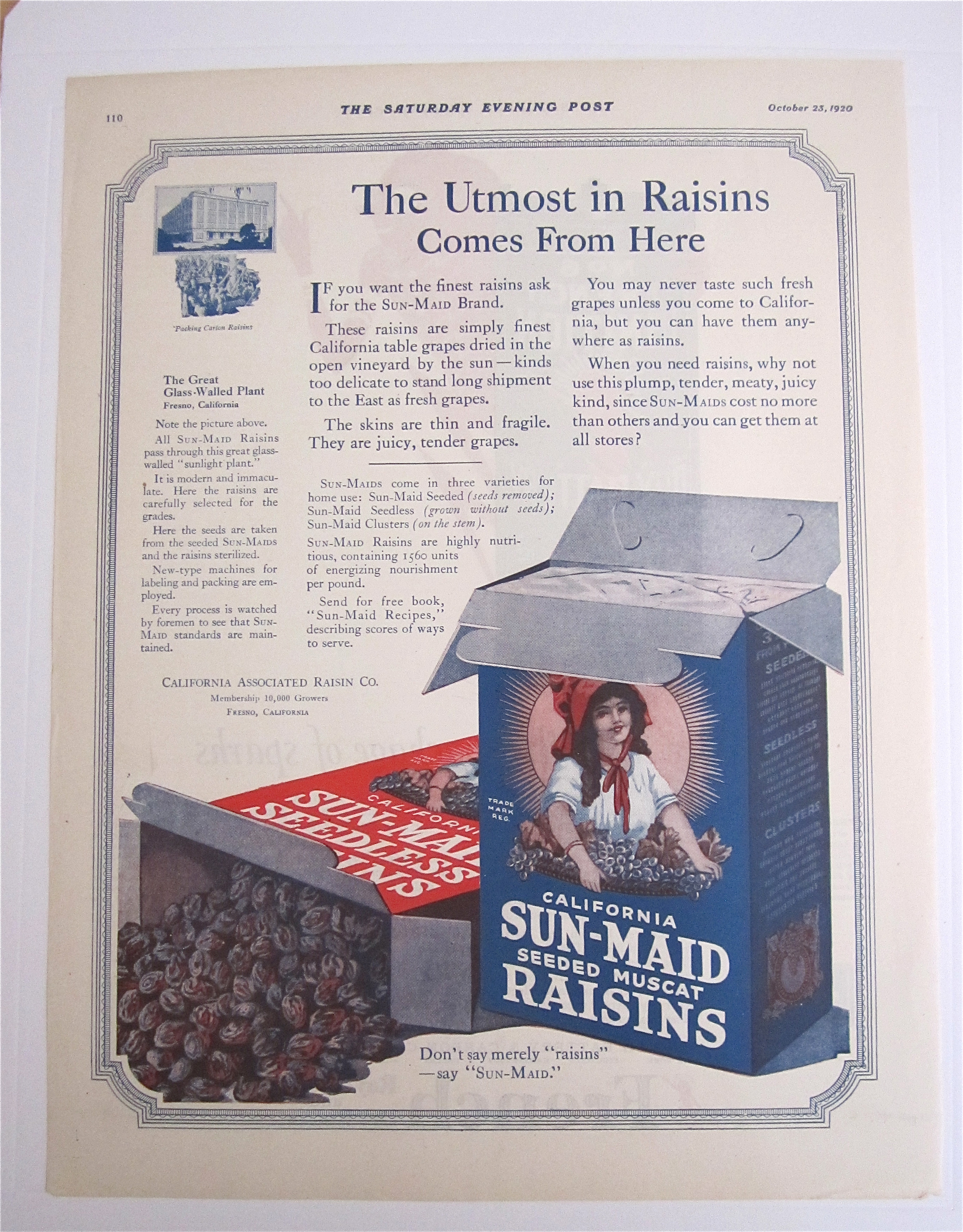 1920 Sun Maid Raisins with 2 Boxes Of Raisins