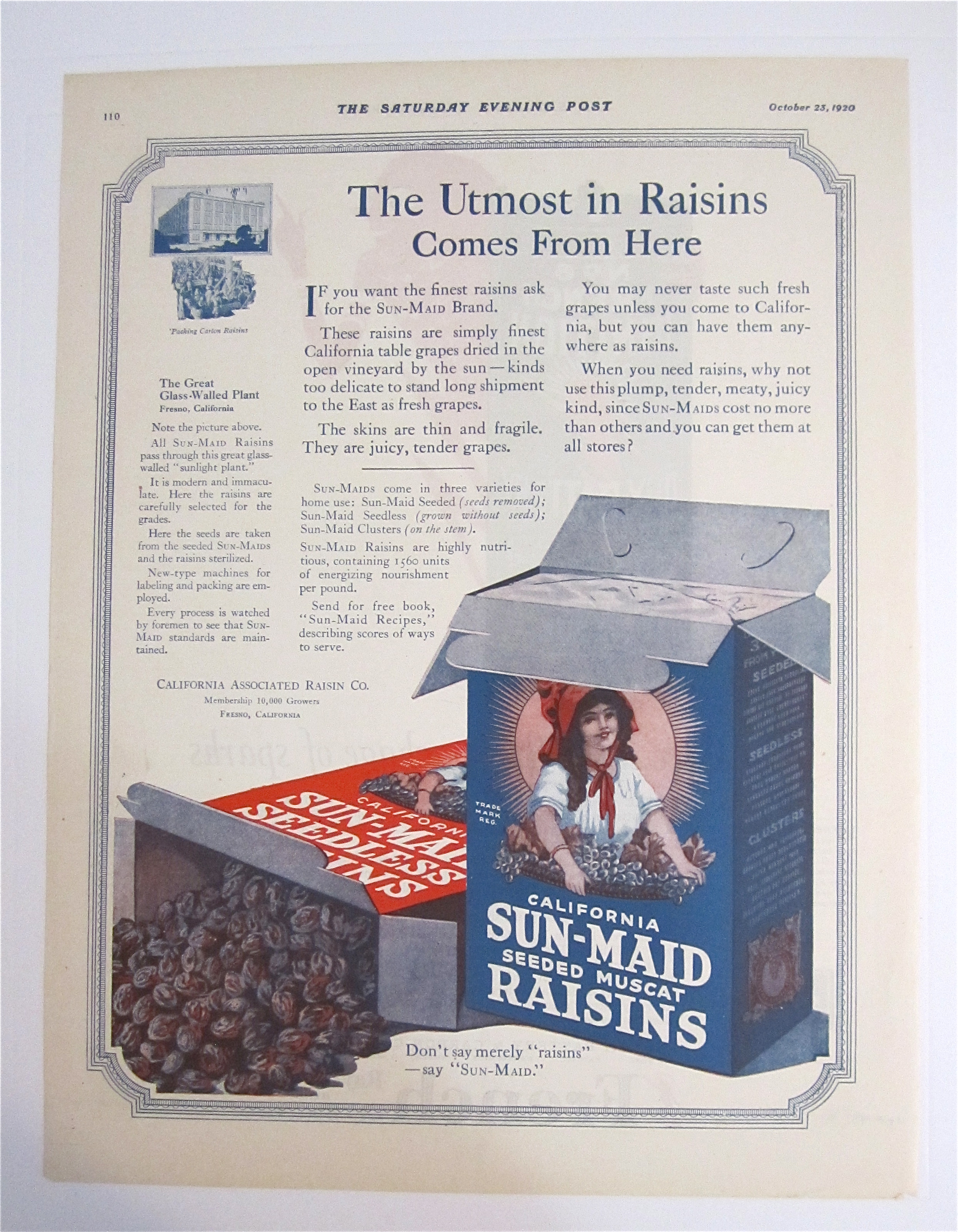 1920 Sun Maid Raisins with 2 Boxes Of Raisins