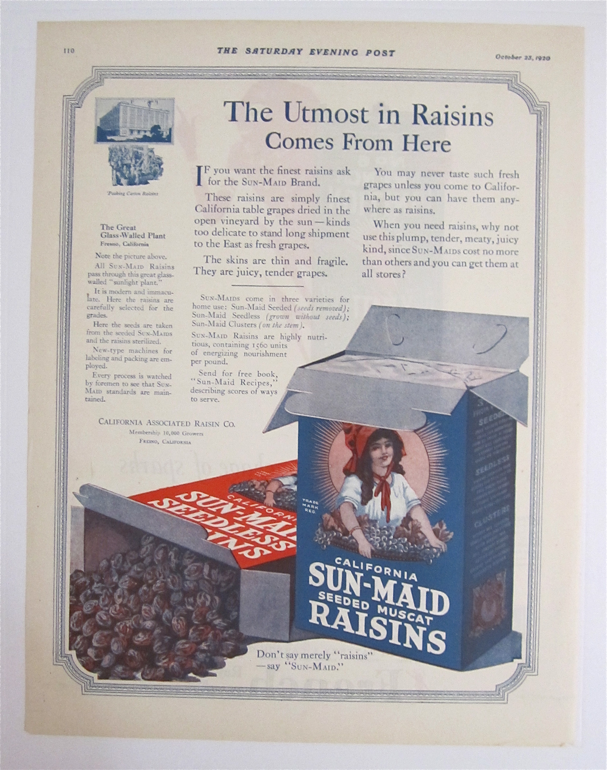 1920 Sun Maid Raisins with 2 Boxes Of Raisins