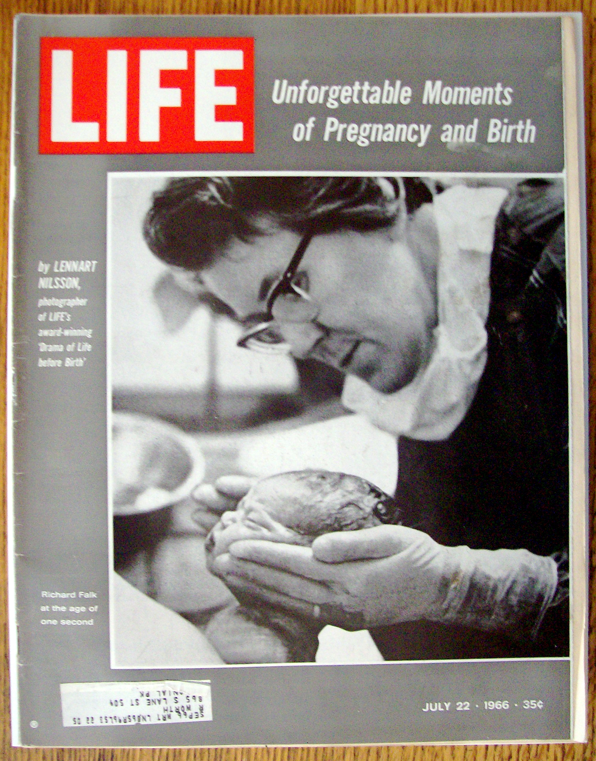 Life Magazine - July 22, 1966 - Pregnancy