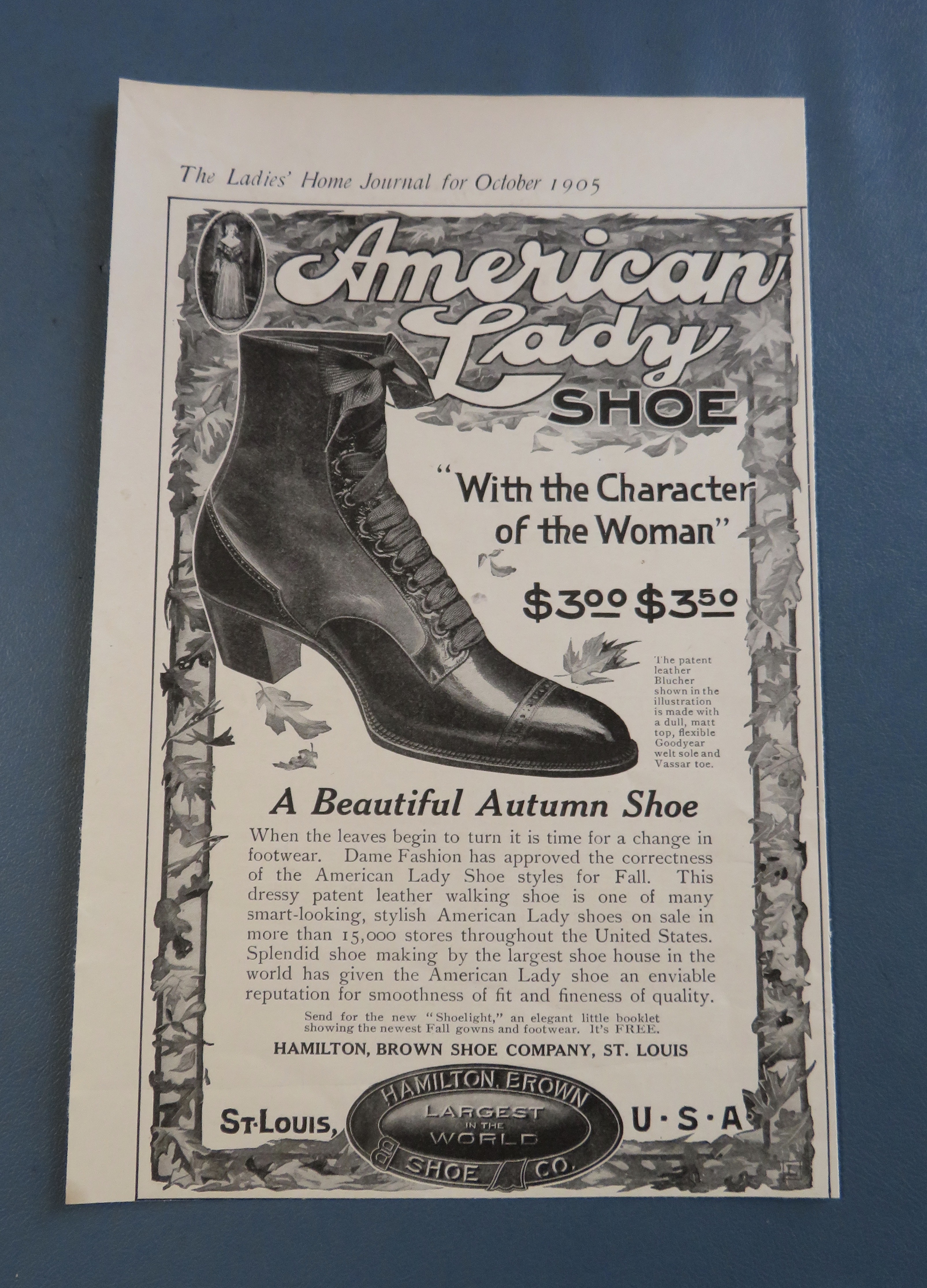 1905 American Lady Shoe with Beautiful Autumn Shoe