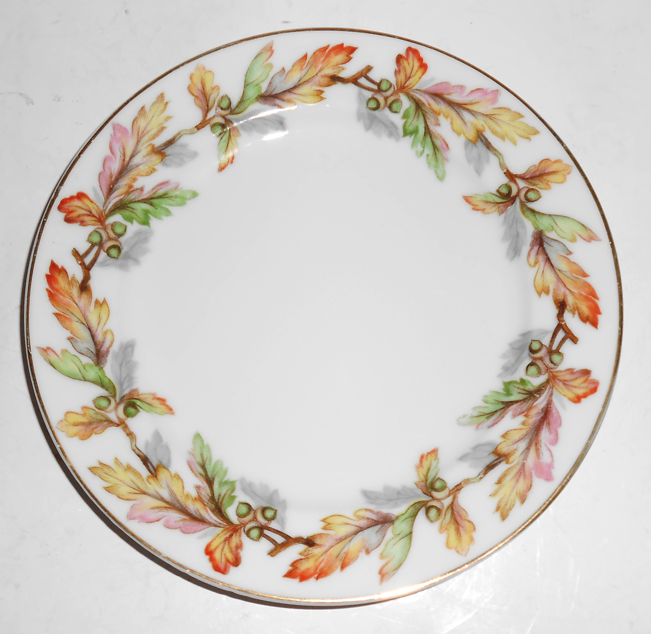 Mikado Fine China Glendale w/Gold Bread Plate Occupied
