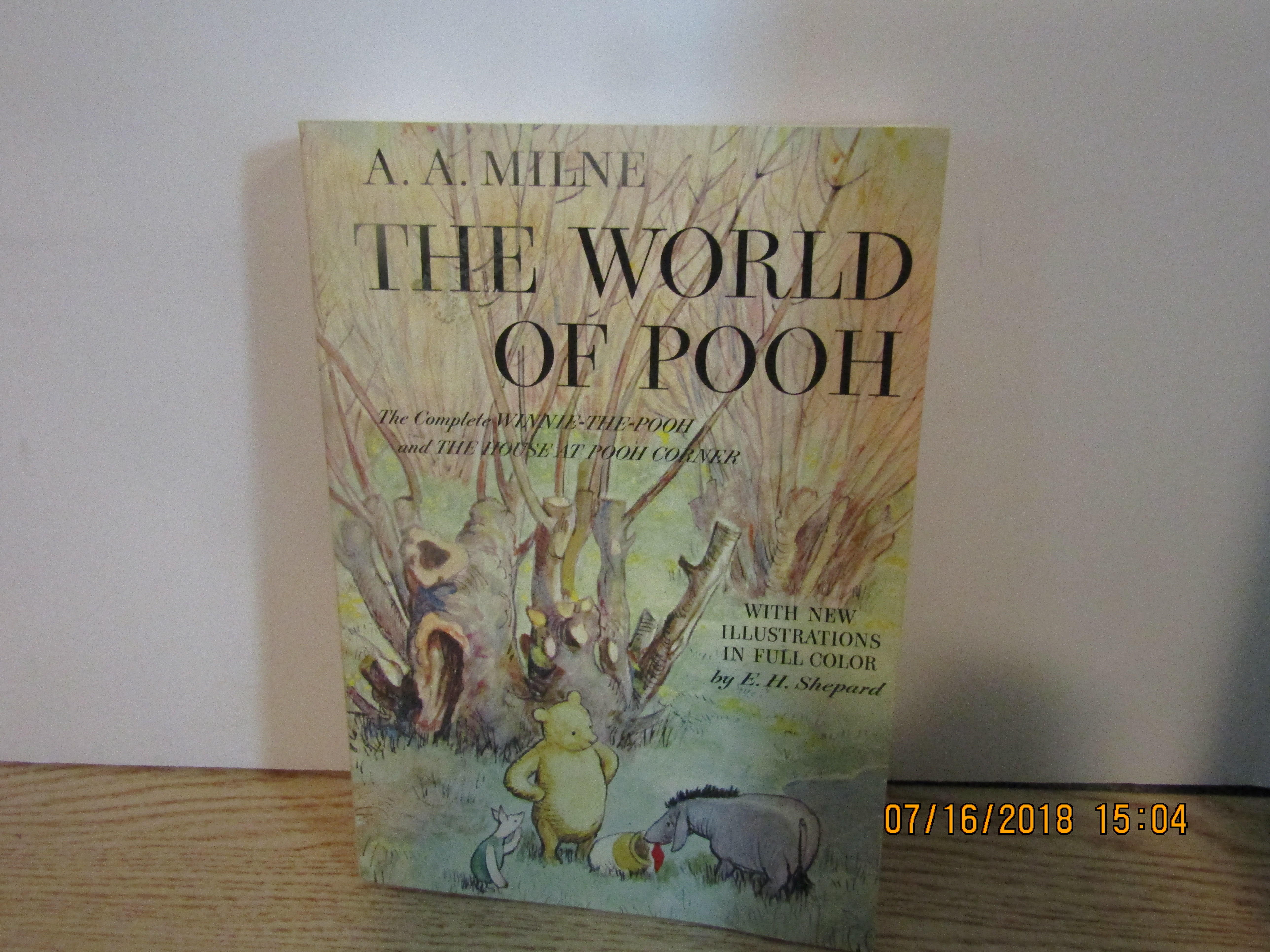 Children's Book The World Of Pooh