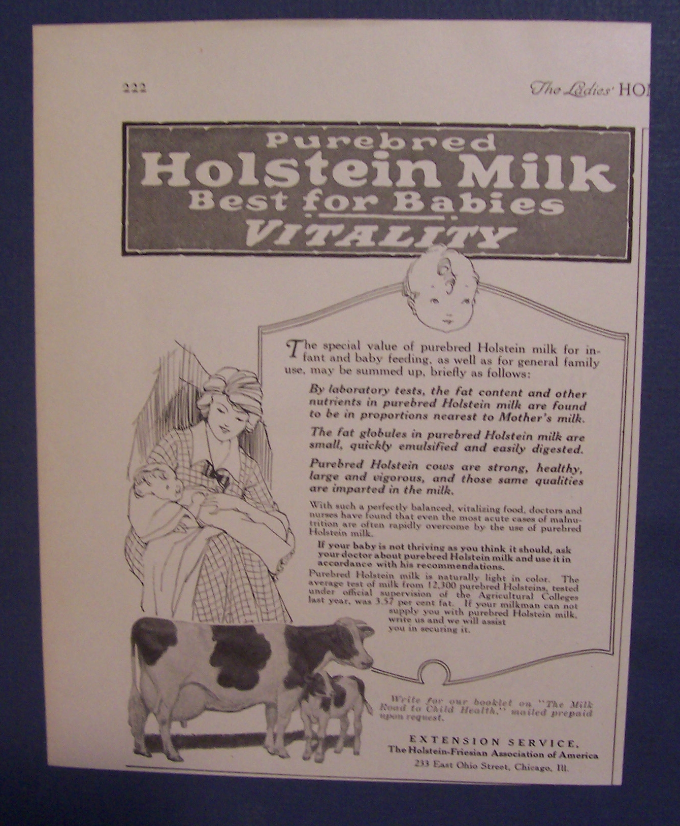 1923  Holstein  Milk