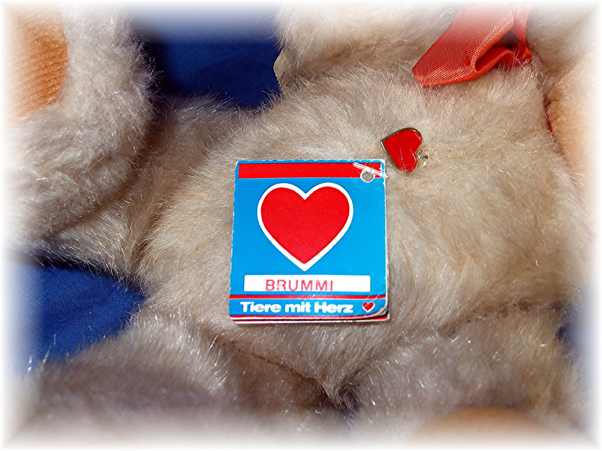 12 Inch Tall Austrian BRUMMI Teddy Bear