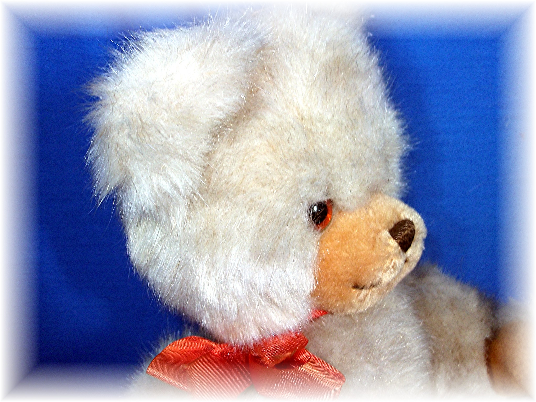 12 Inch Tall Austrian BRUMMI Teddy Bear