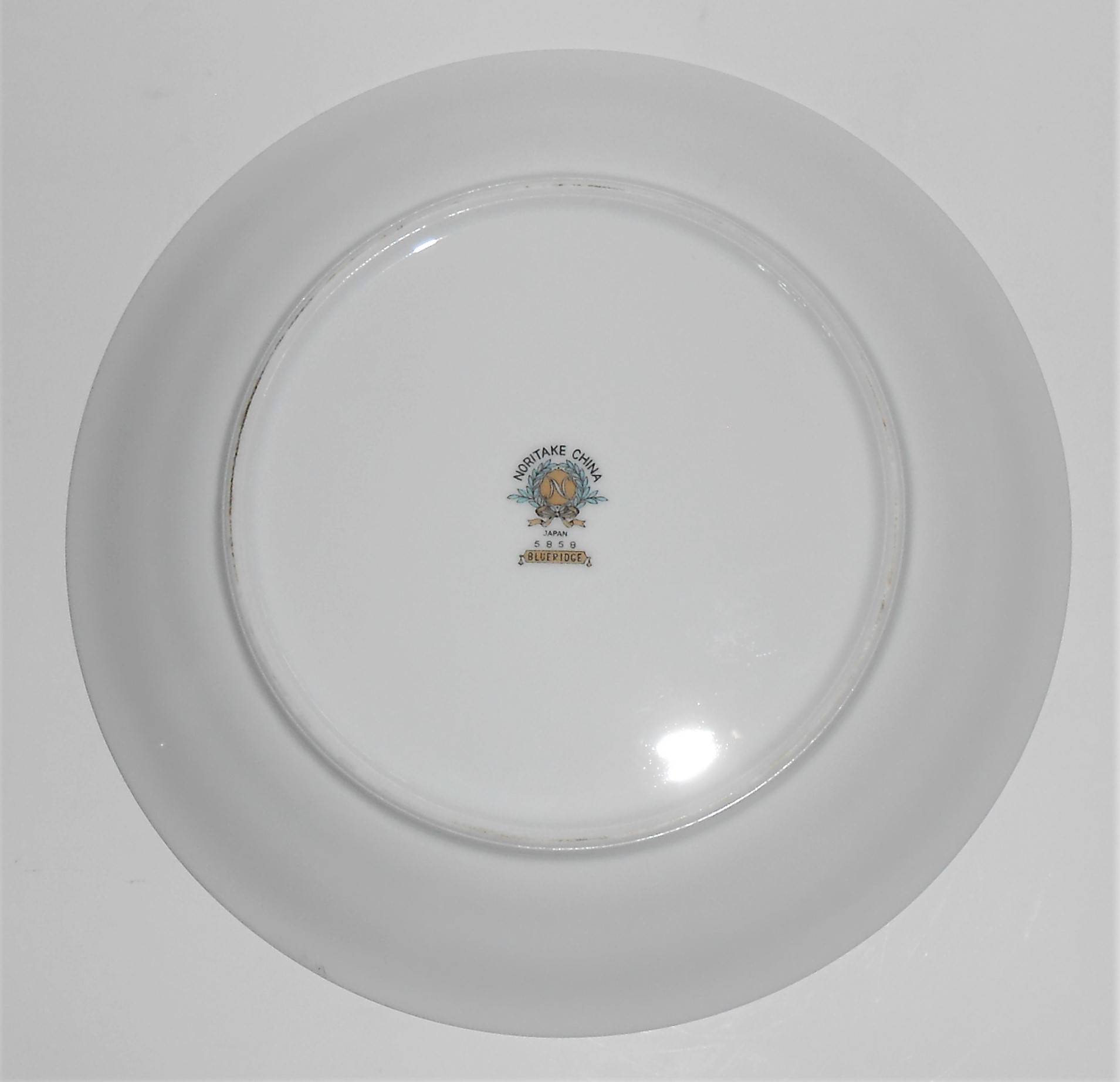 Noritake Porcelain China 5858 Blueridge w/Platinum Sala