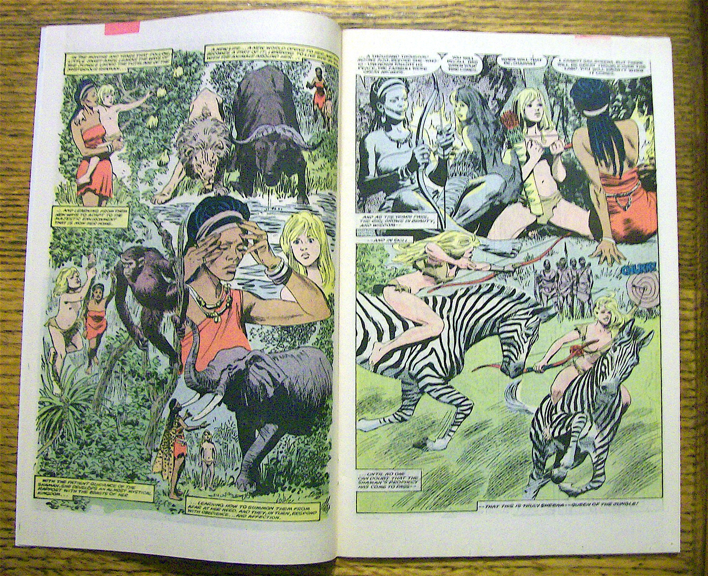 Sheena Comic #1 December 1984 Prologue