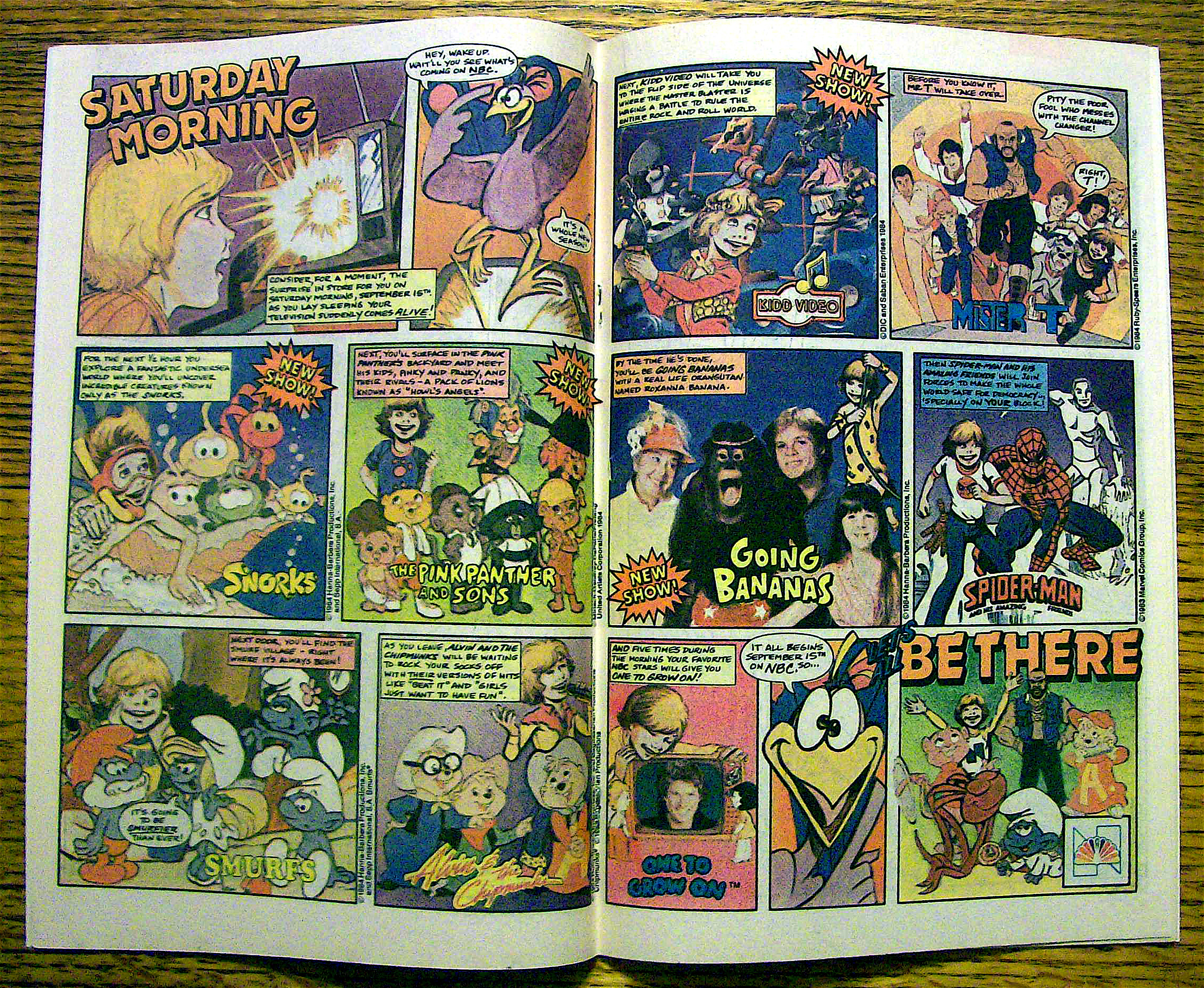 Sheena Comic #1 December 1984 Prologue
