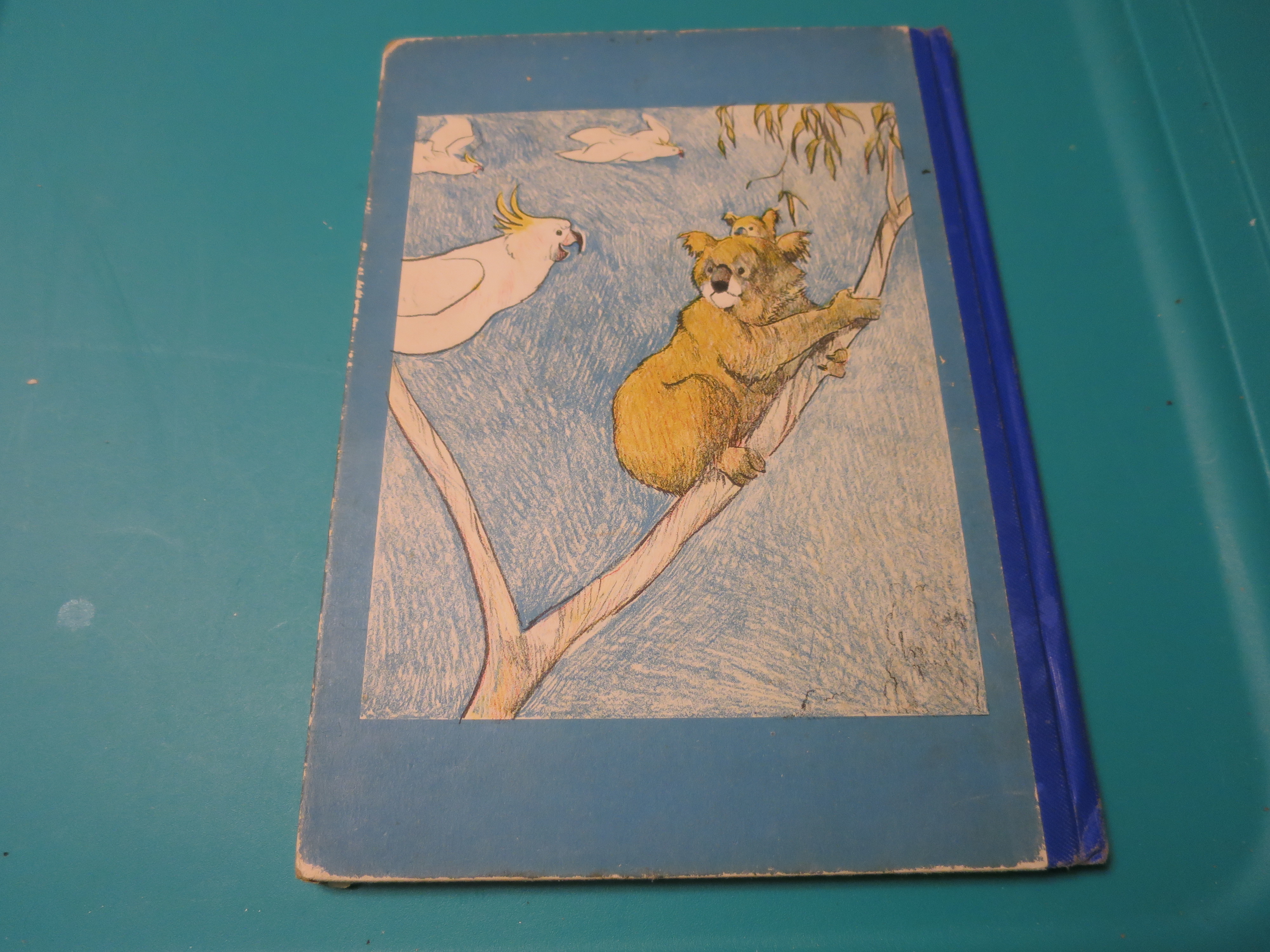 Buddy the Bear Kurt Wiese 1936