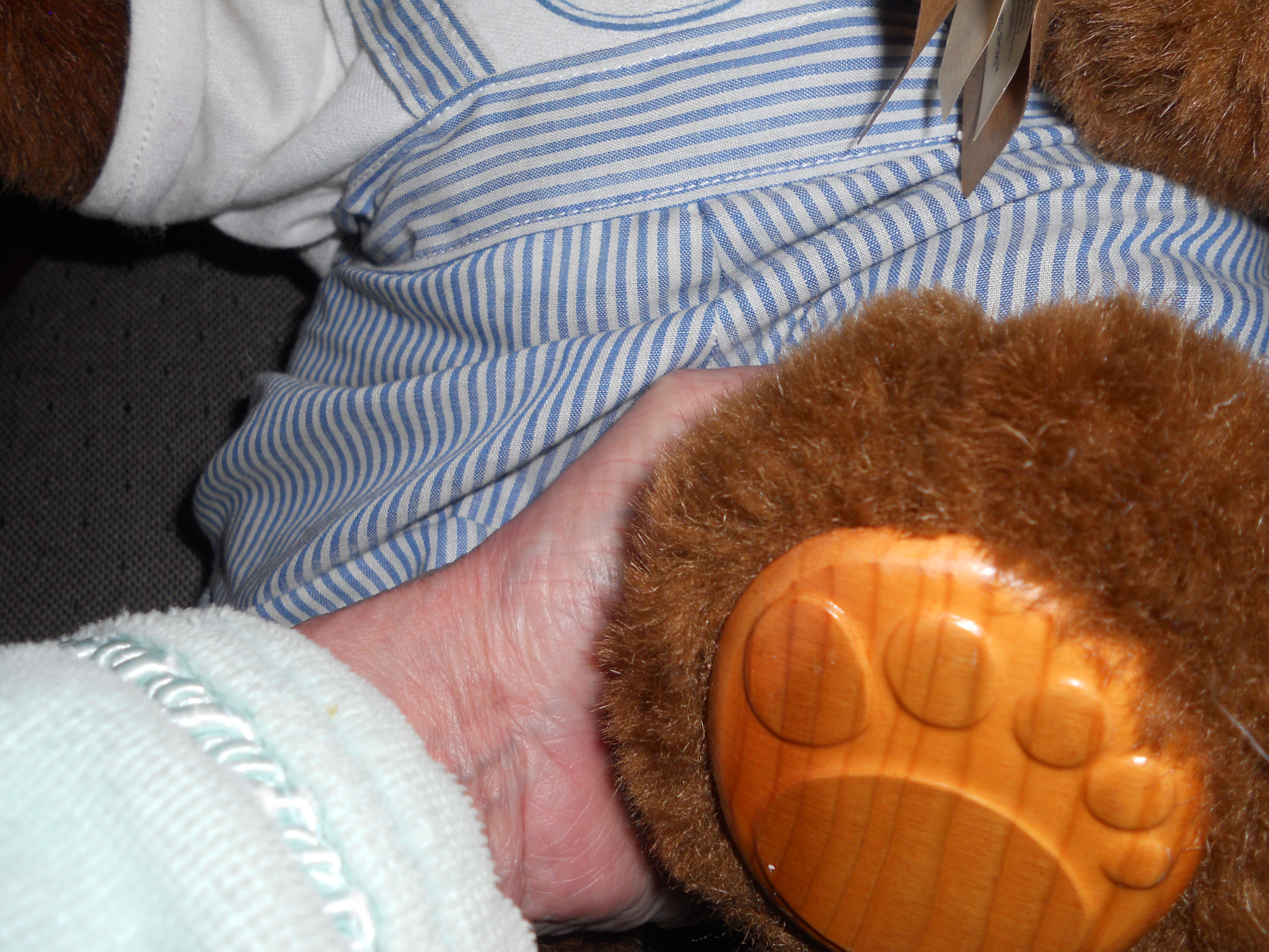 Robert Raikes Bear Brian 38516 of 100000