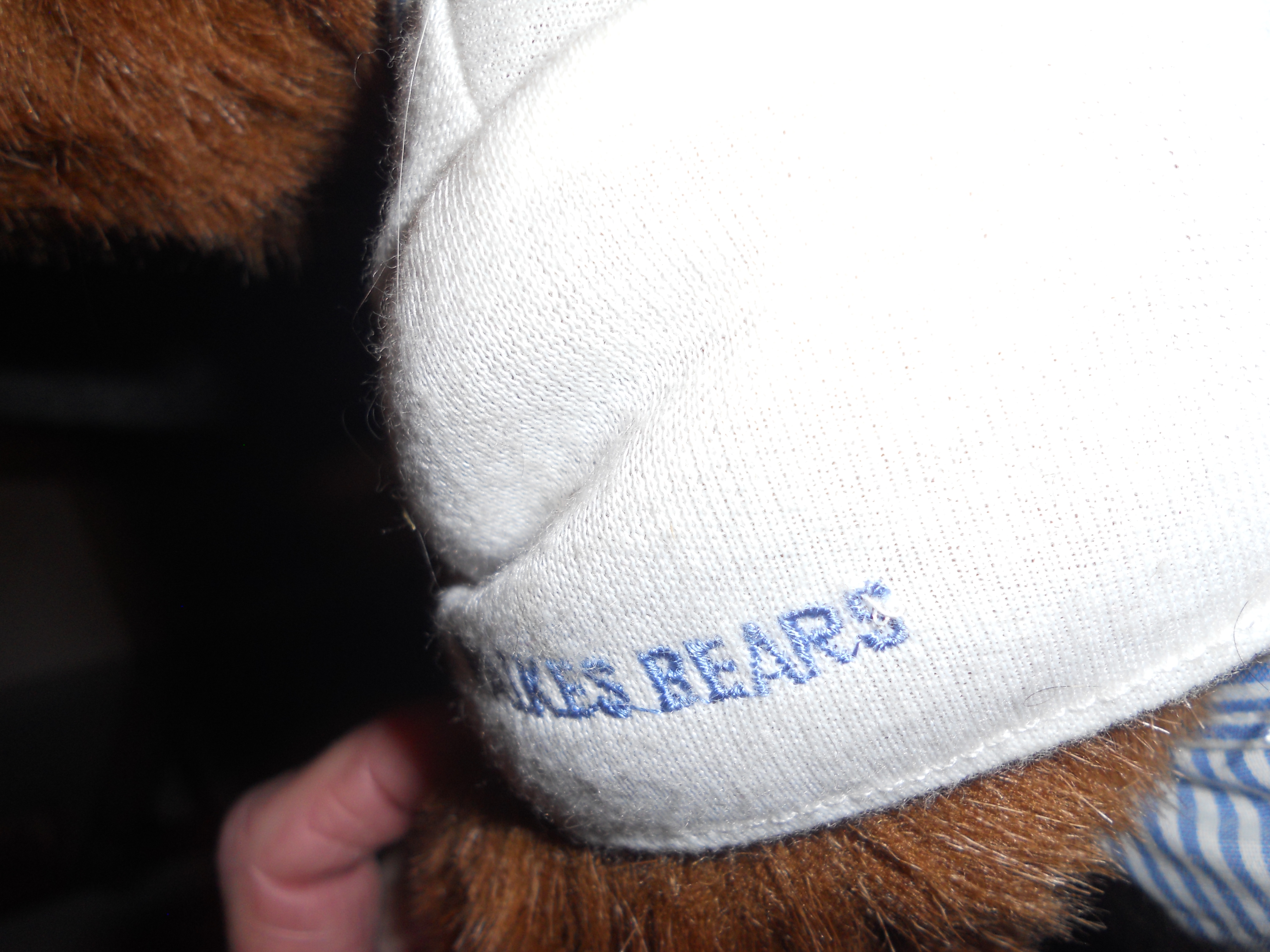 Robert Raikes Bear Brian 38516 of 100000