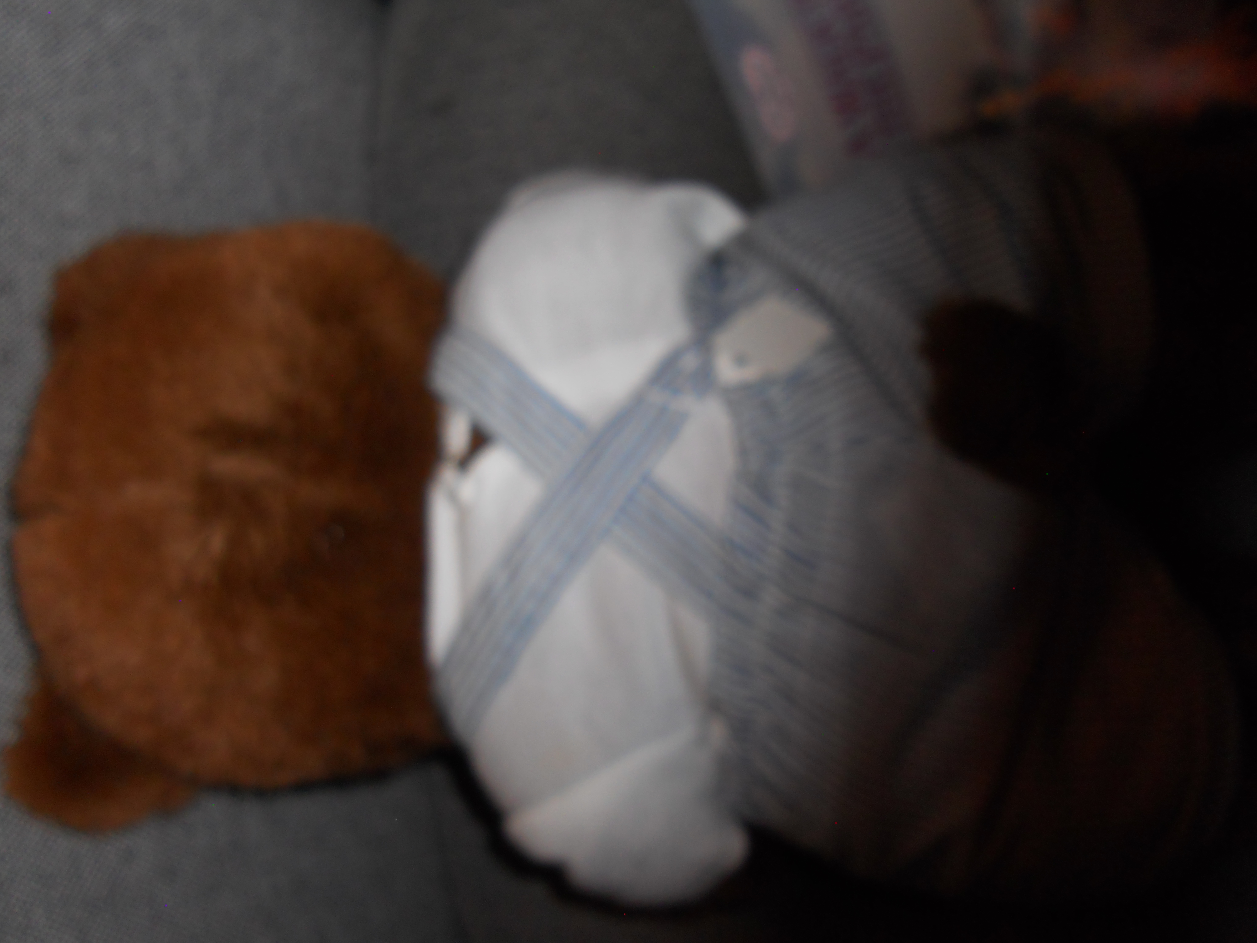 Robert Raikes Bear Brian 38516 of 100000