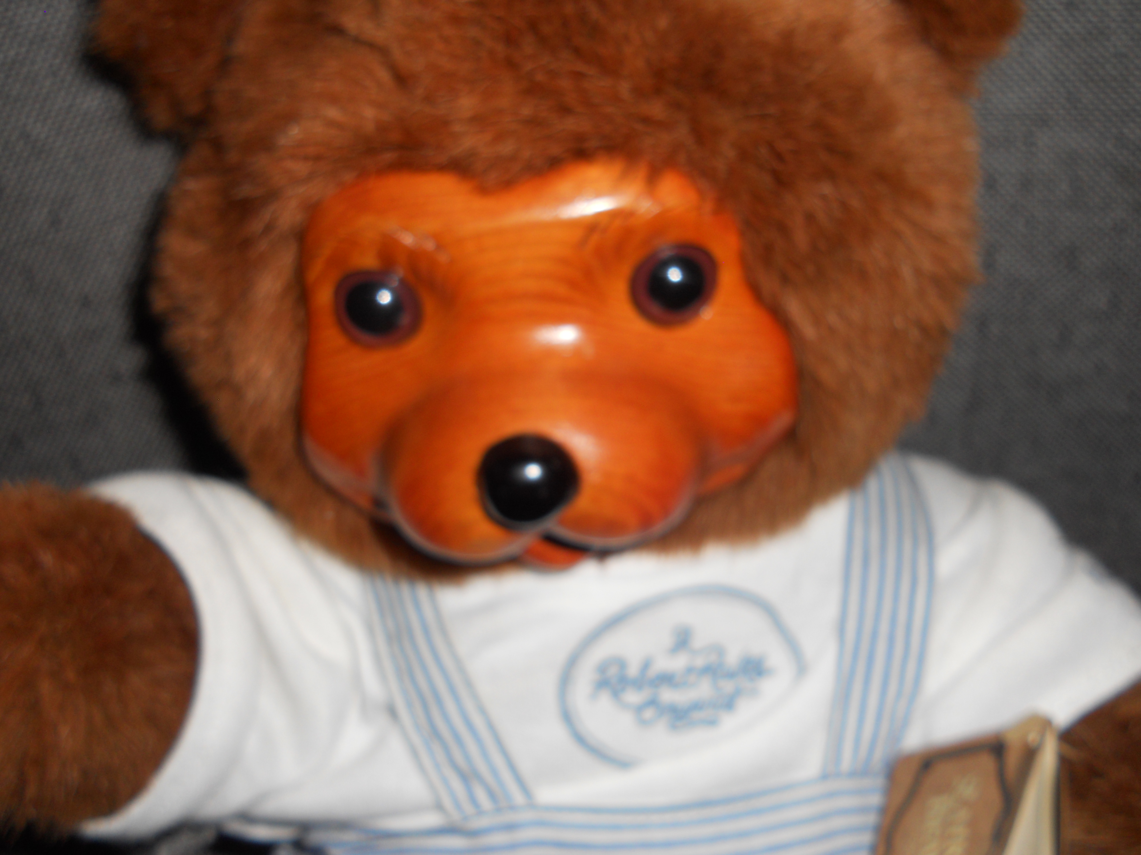 Robert Raikes Bear Brian 38516 of 100000