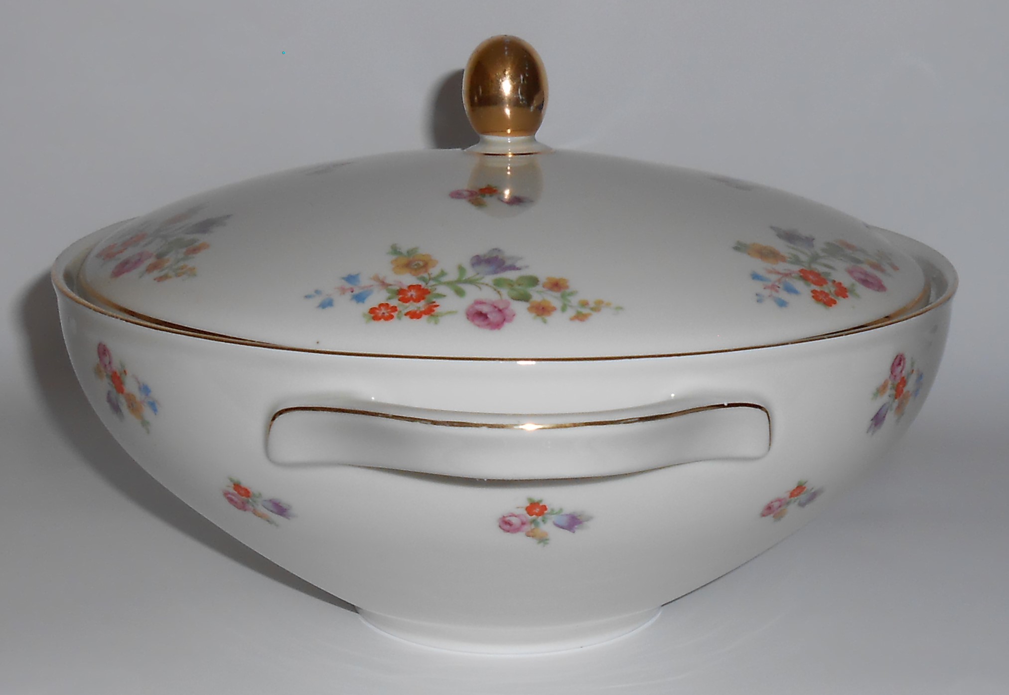 Mitterteich China Bavaria Porcelain 22604 Floral w/Gold