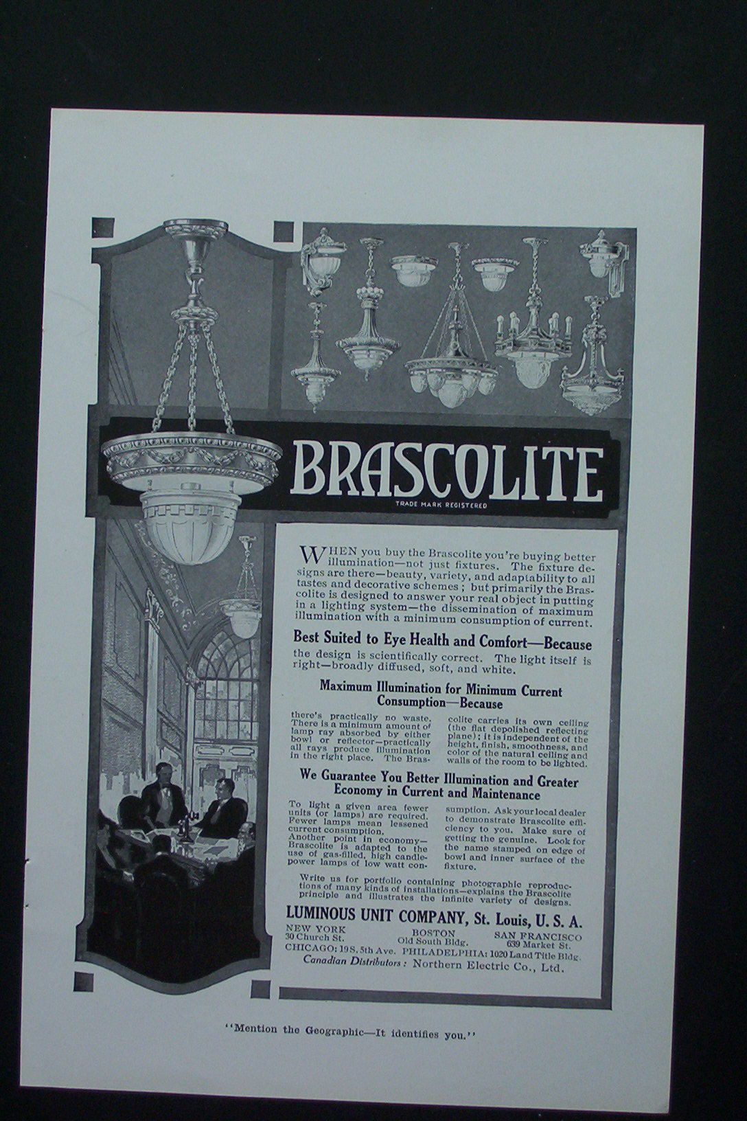 1917 Brascolite with Different Styles of Brascolite