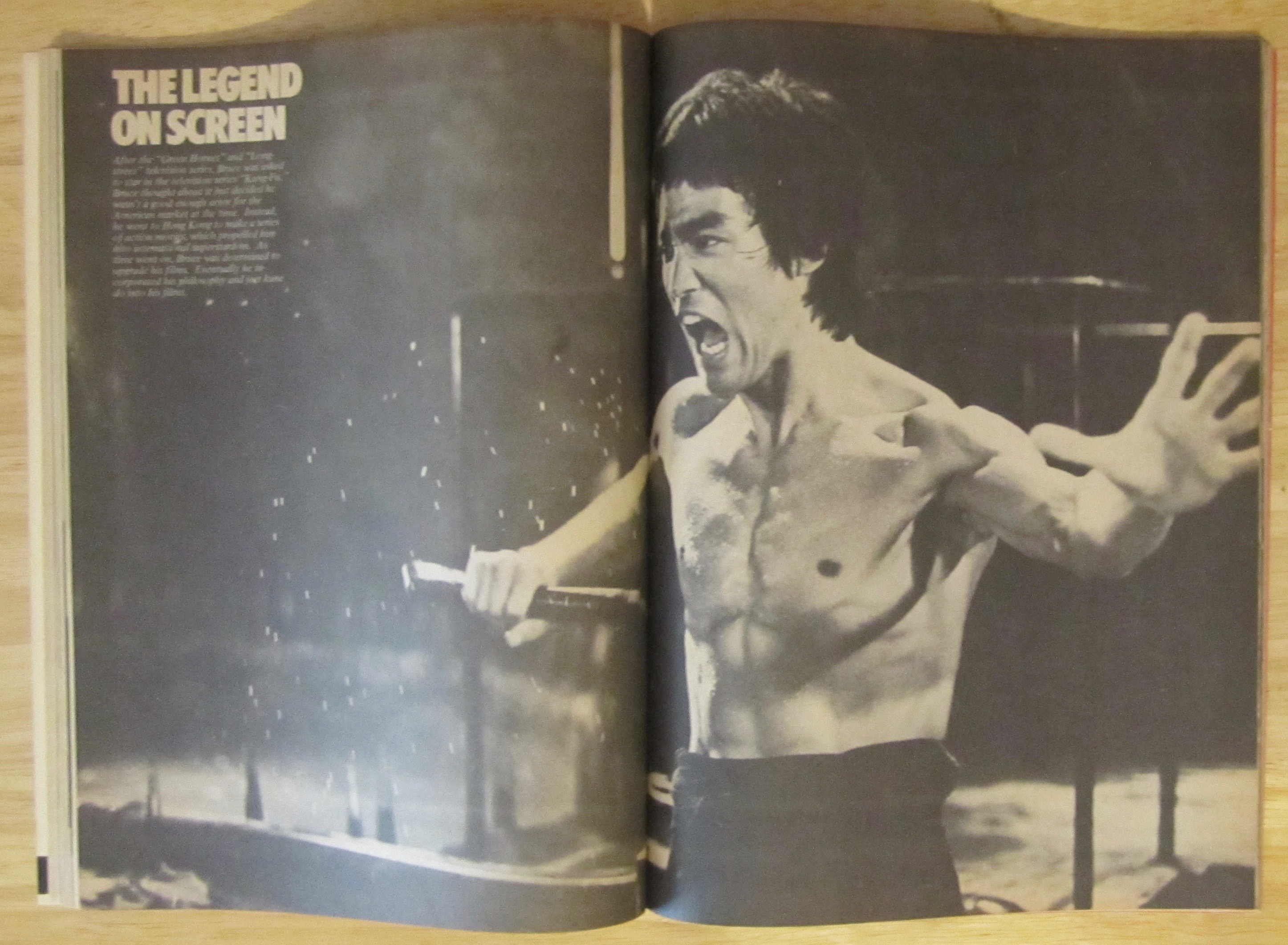 Bruce Lee: The Untold Story 1979 Bruce Lee's Life Story