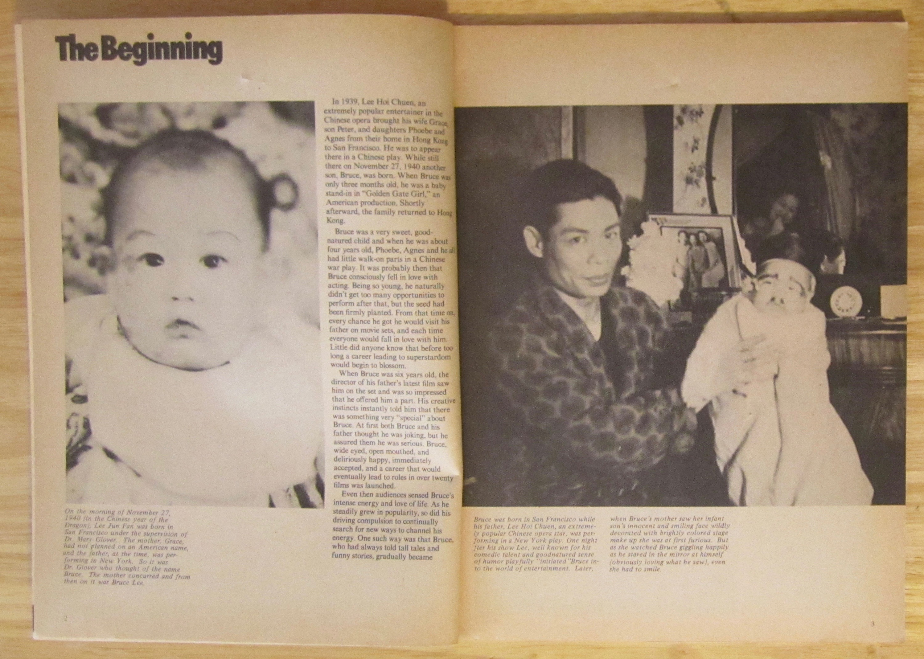 Bruce Lee: The Untold Story 1979 Bruce Lee's Life Story
