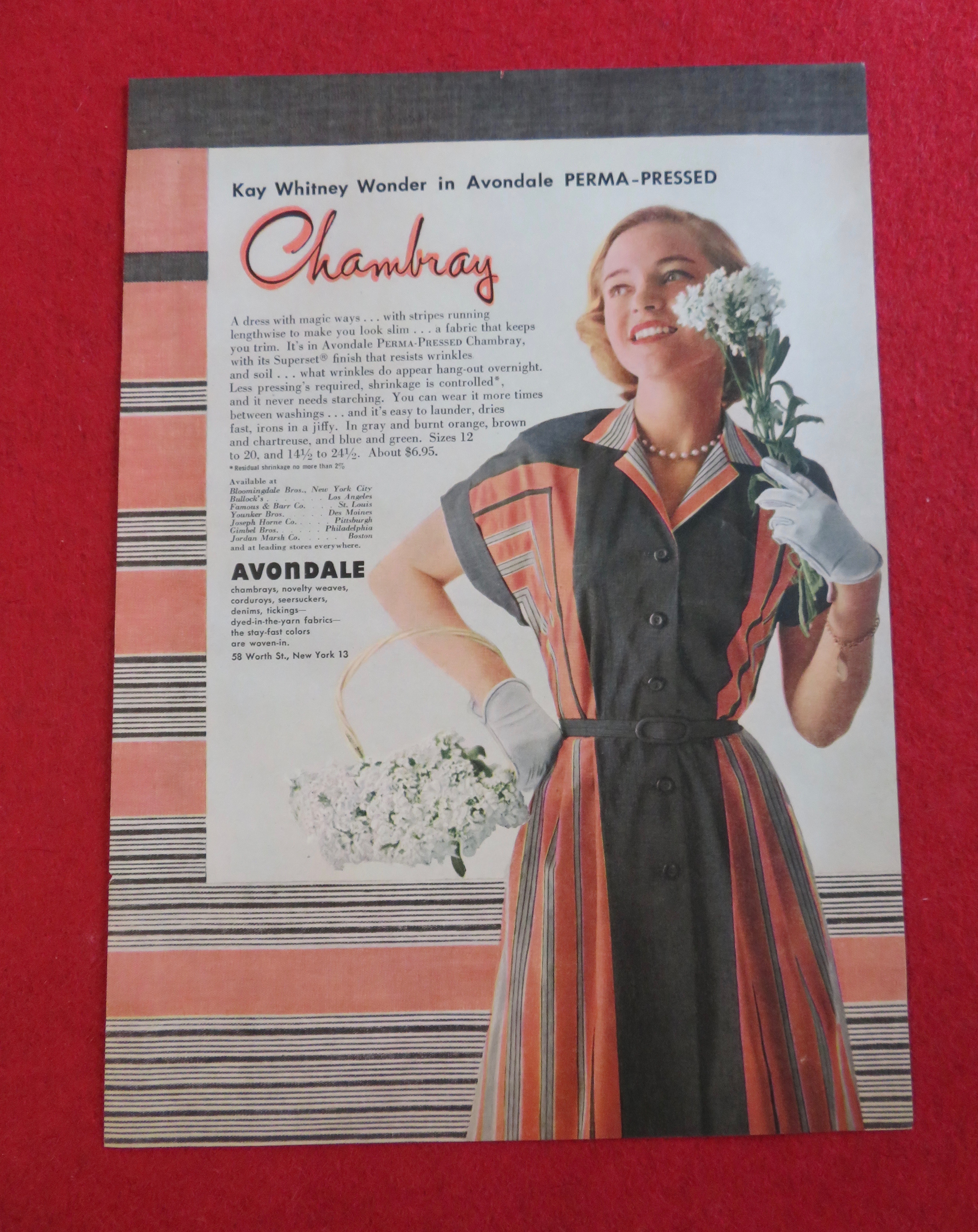 1951 Avondale Chambray with Woman In Dress